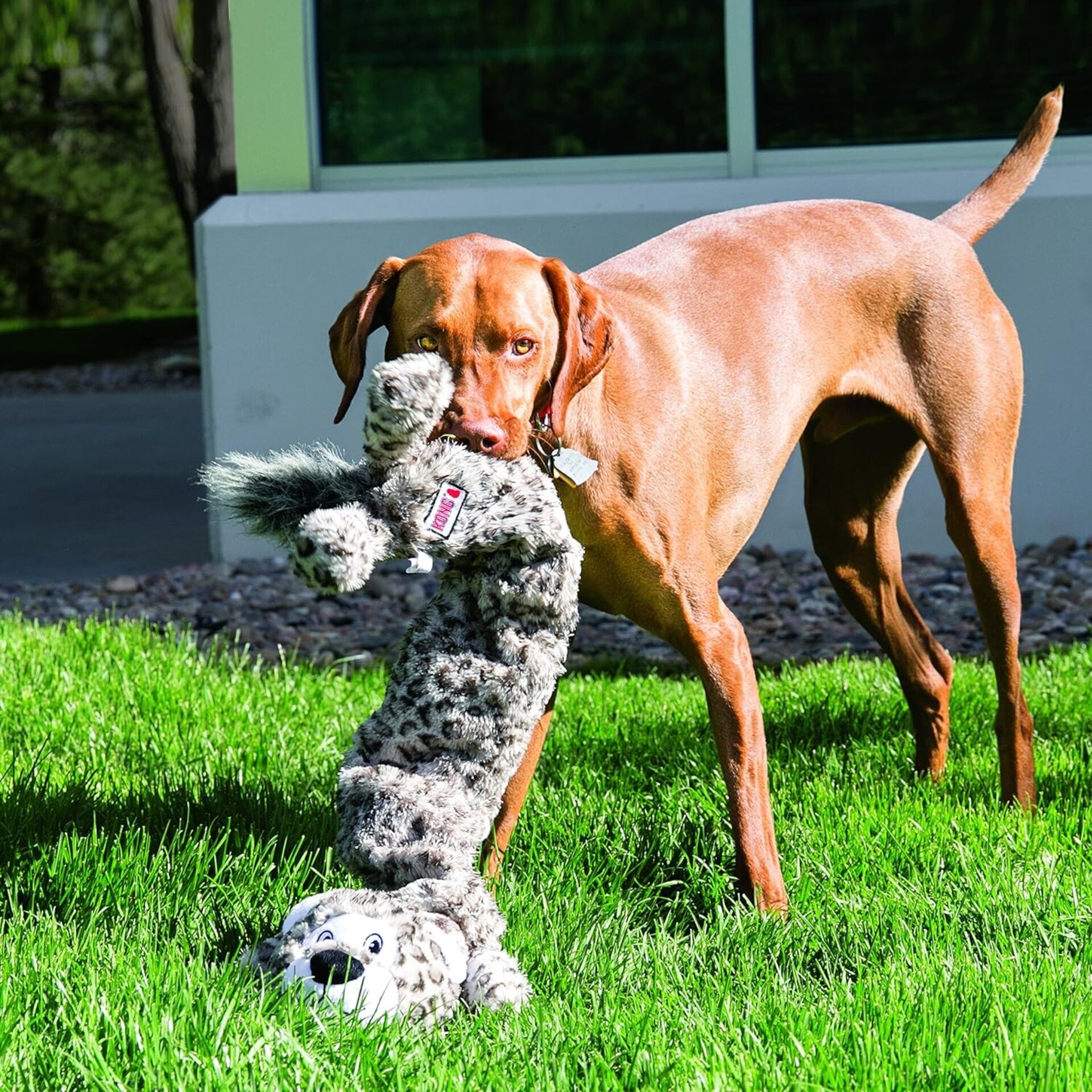Peluche Kong Stretchezz Jumbo Snow Leopard - 4