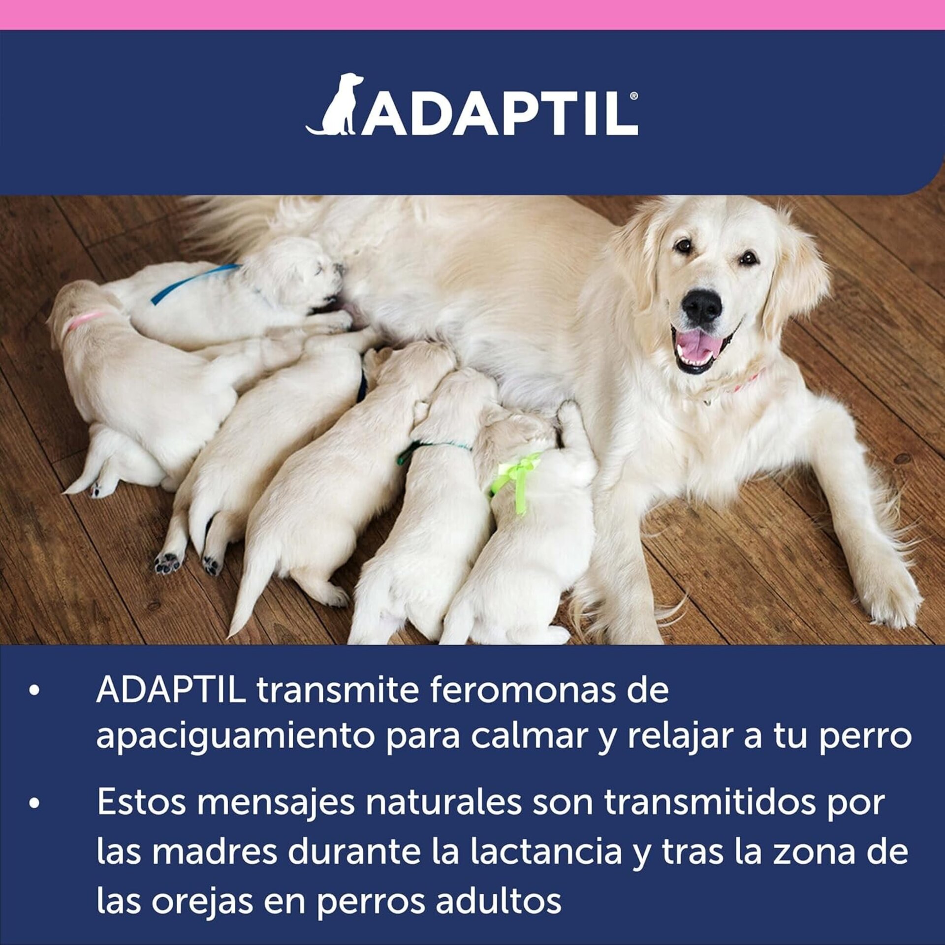 Adaptil Collar Cachorro - 6