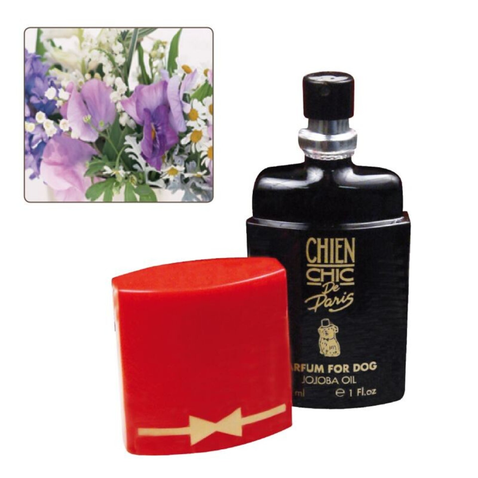 Perfumes Chien Chic De Paris - 25
