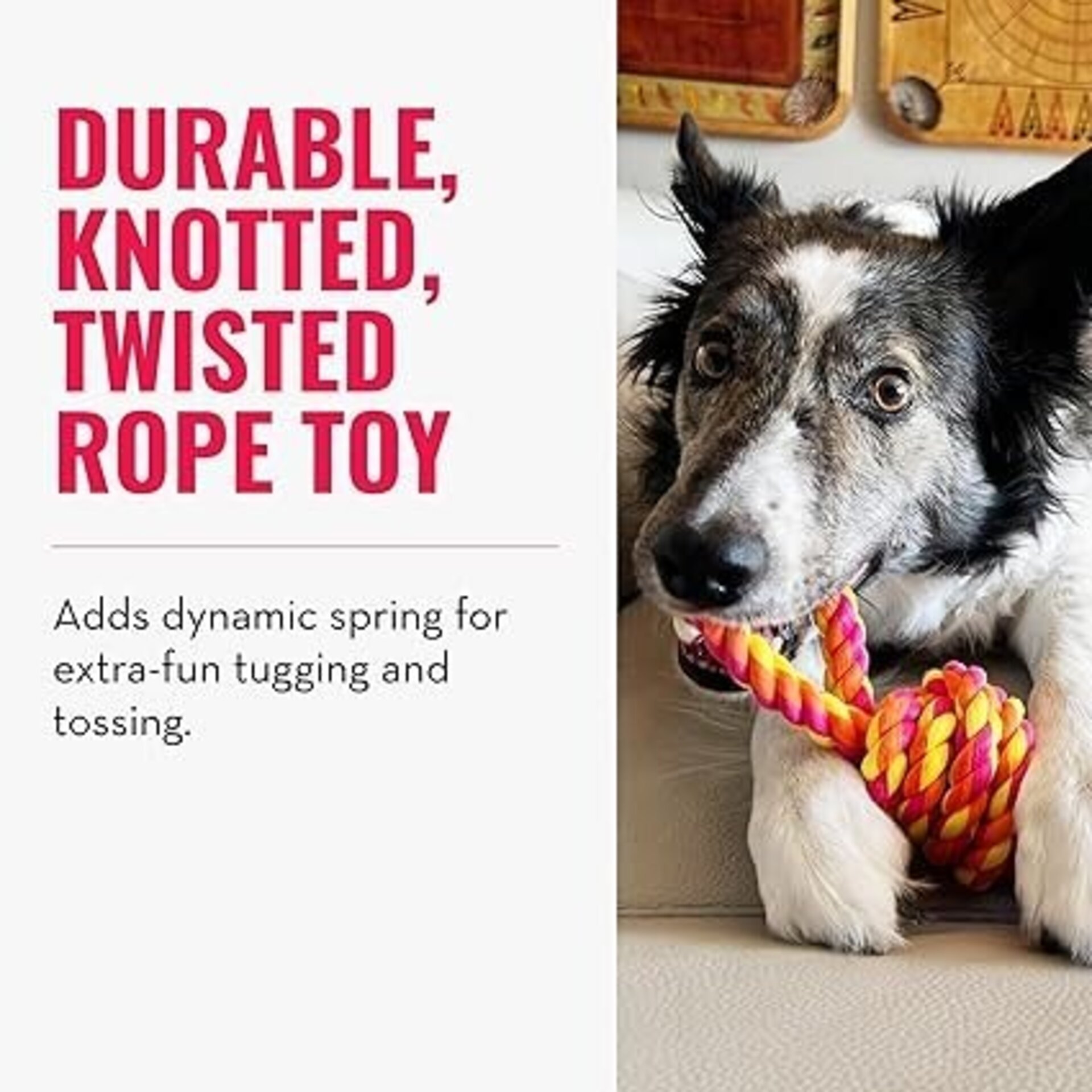 Kong Rope Bunji Assorted para Perros - 3