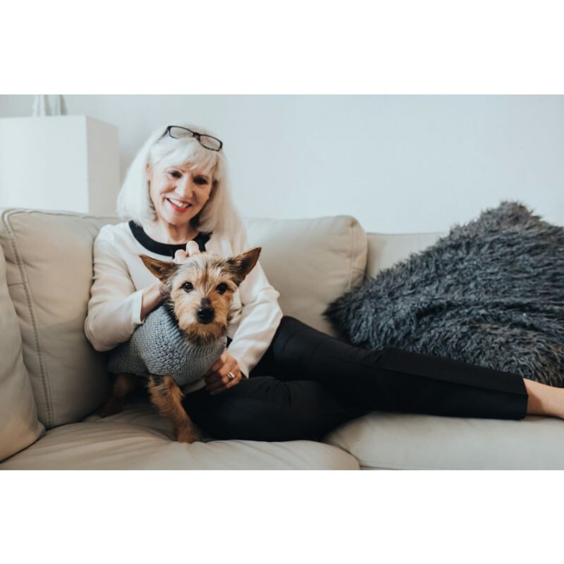 Pullover Dog Malmo Hunter - 3