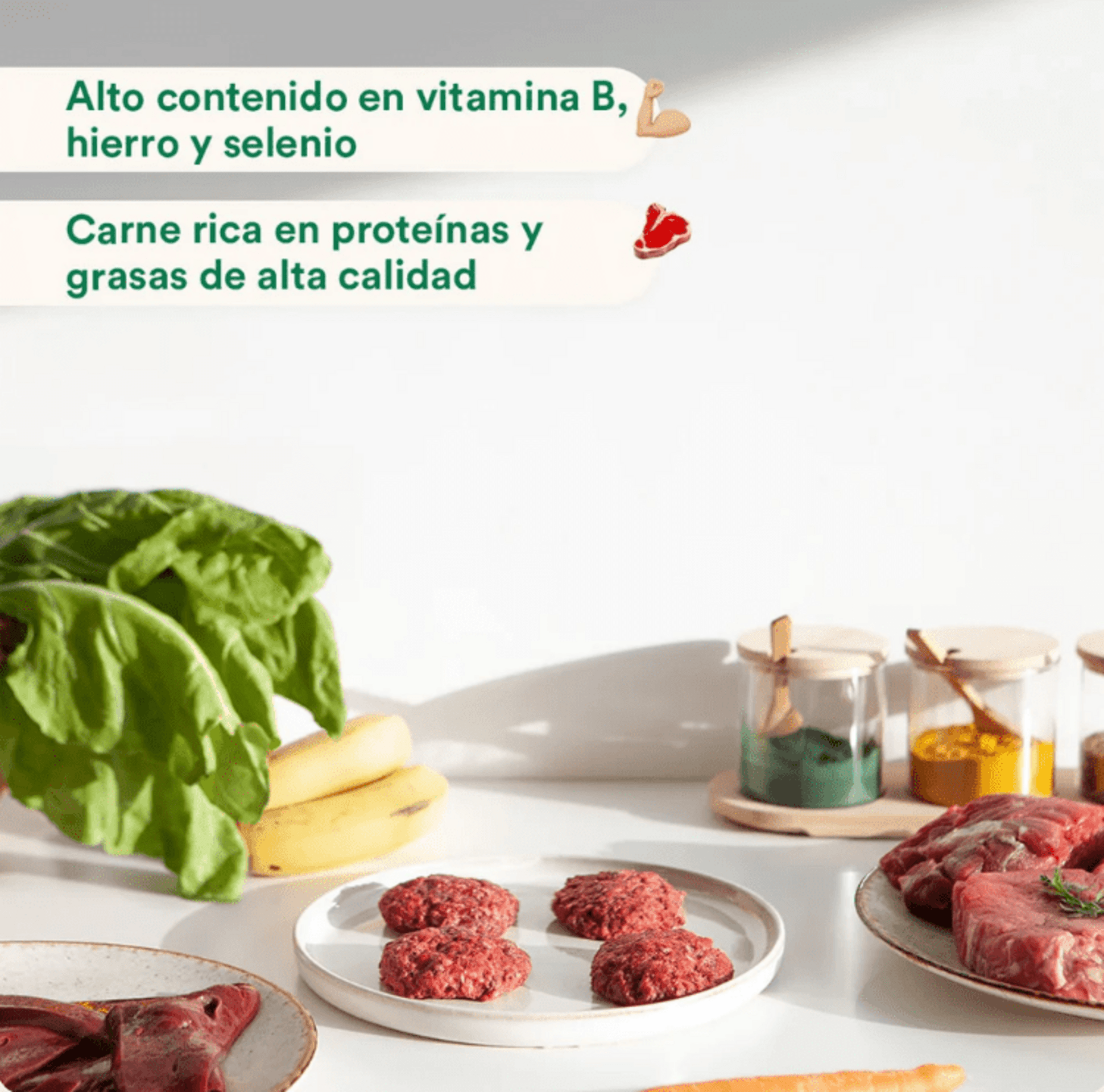 Menú BARF De Salmón Con Verduras Frescas - 4
