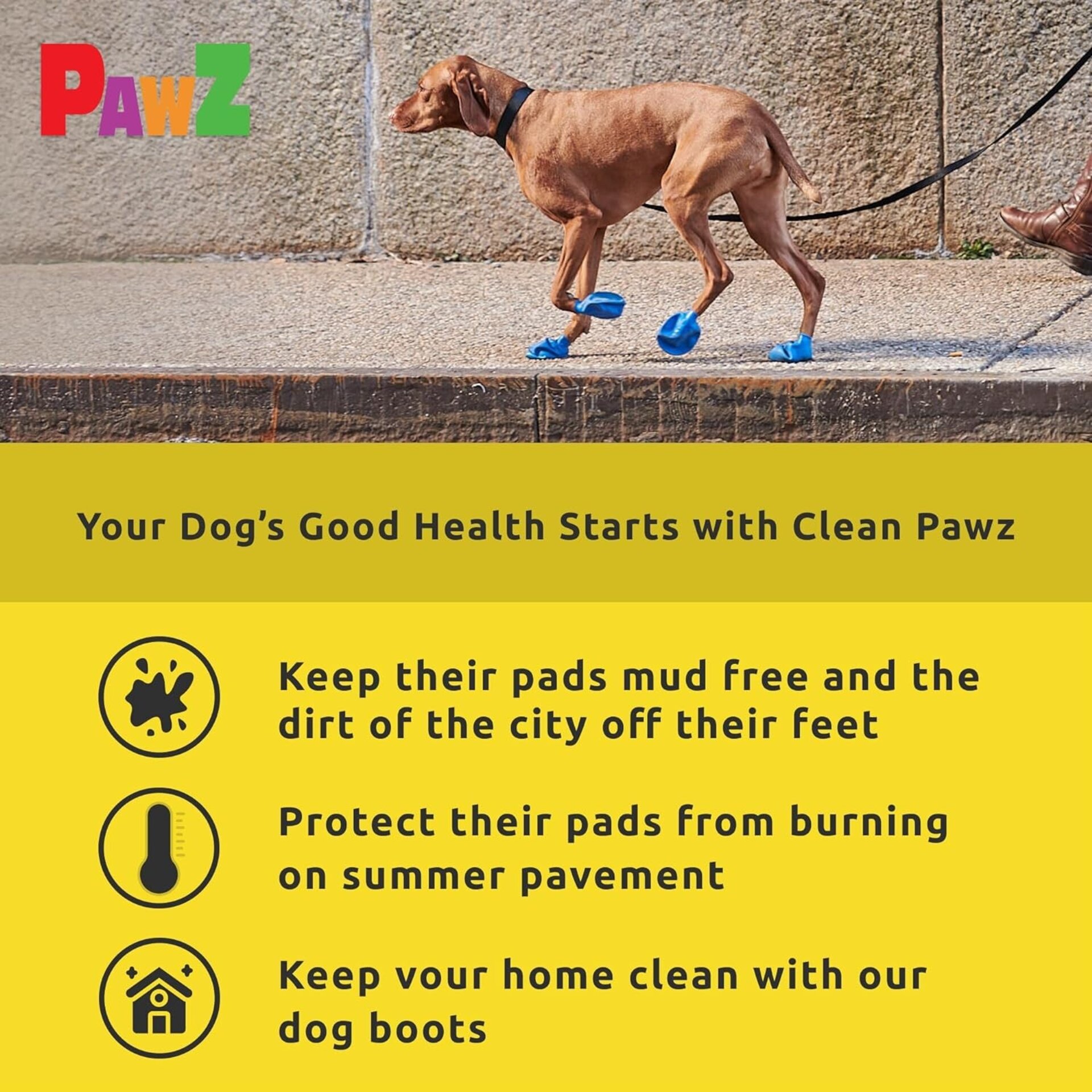 Pawz Botas Para Perros XXS - 5