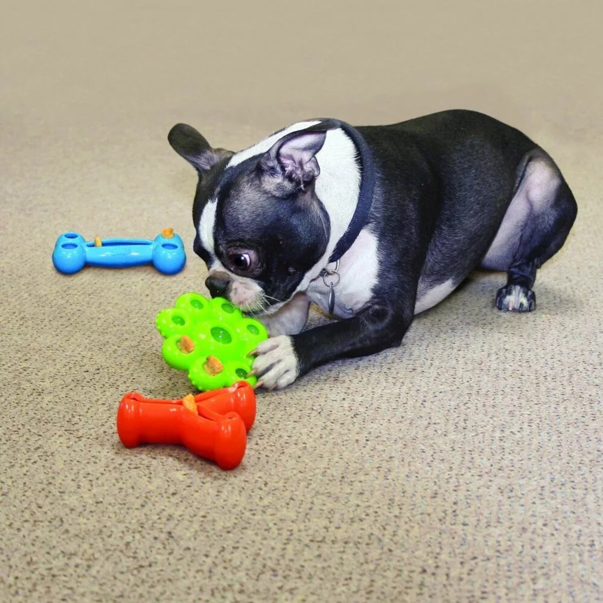 Kong Quest Estrella - 1