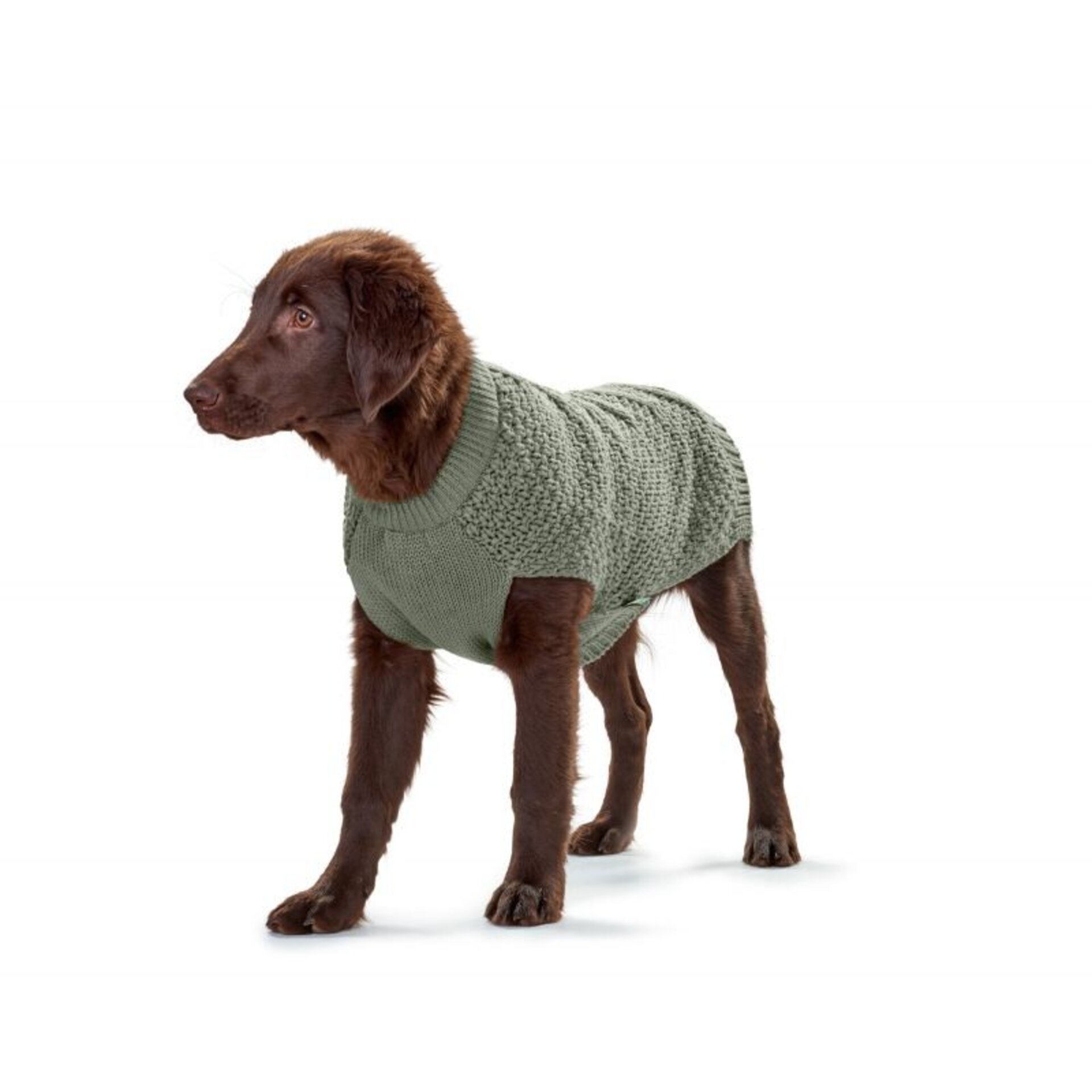 Pullover Dog Malmo Hunter - 10