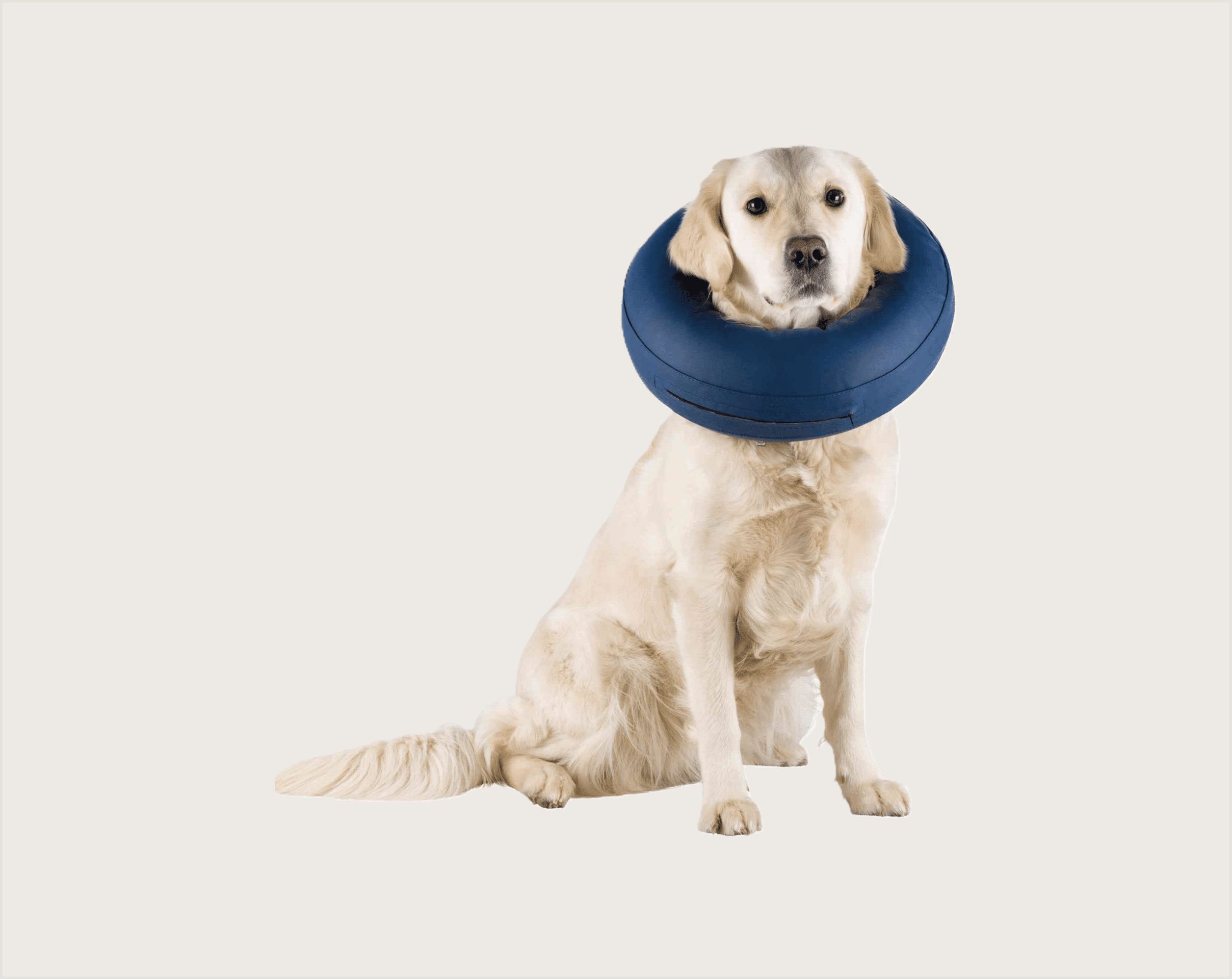 Trixie Collar Isabelino Inflable para Mascotas - 1