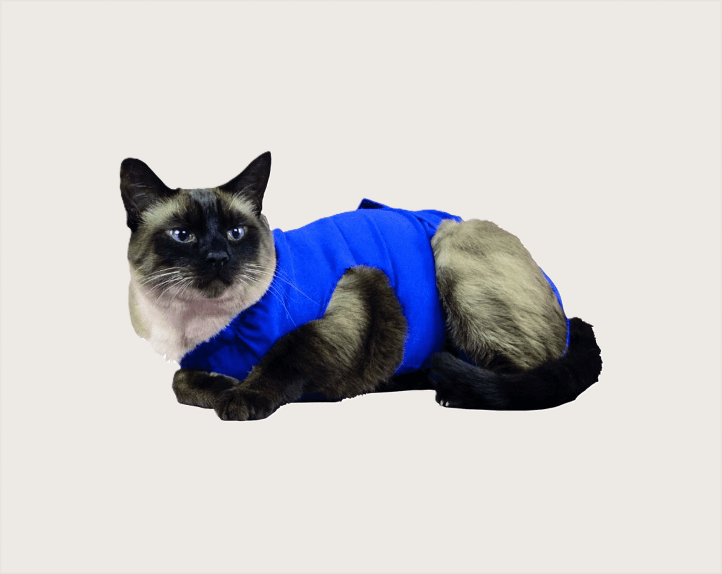 KVP Camiseta Recova para la Ansiedad Perros y Gatos - 4