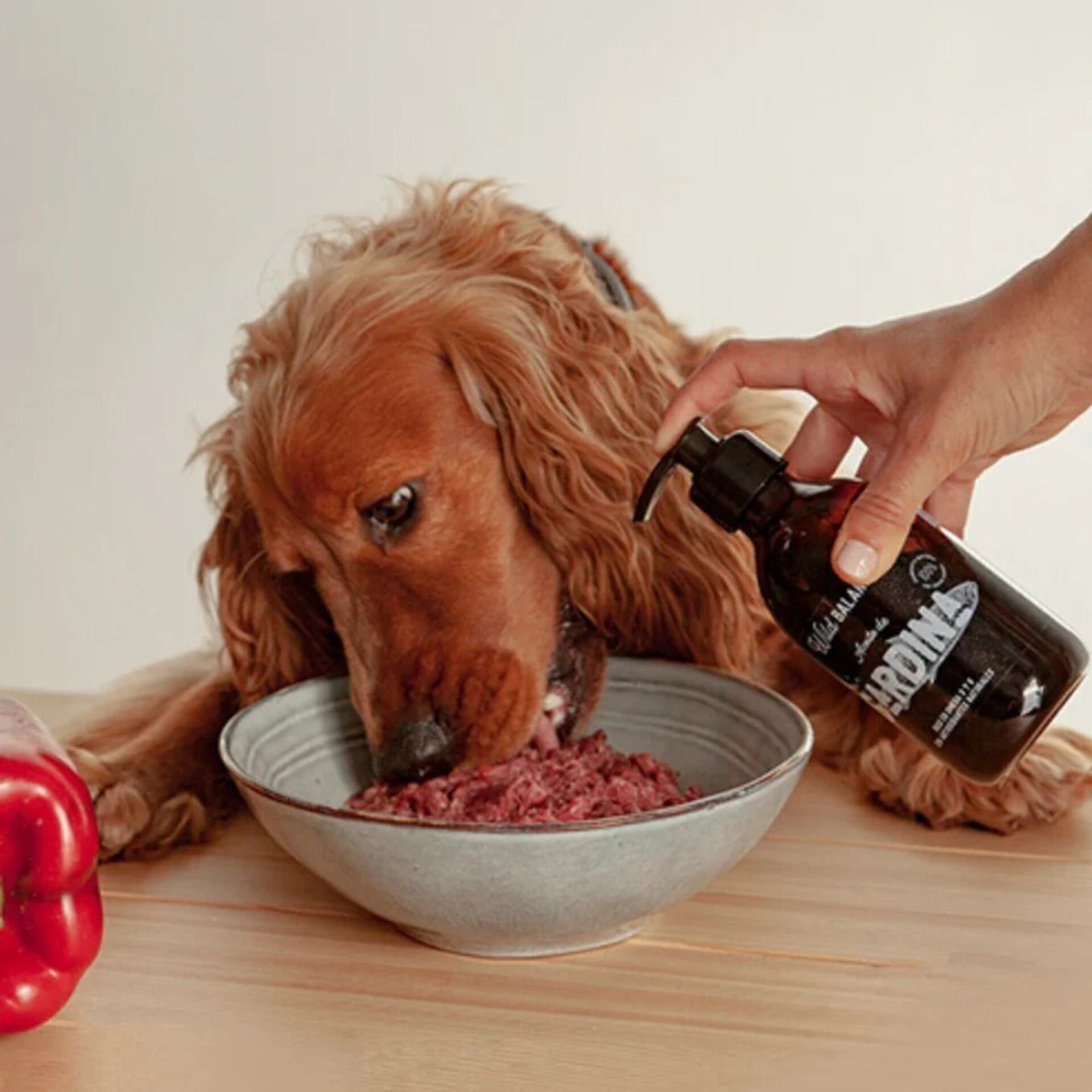 Wild Balance Aceite Natural de Sardina (Perros y Gatos) - 5