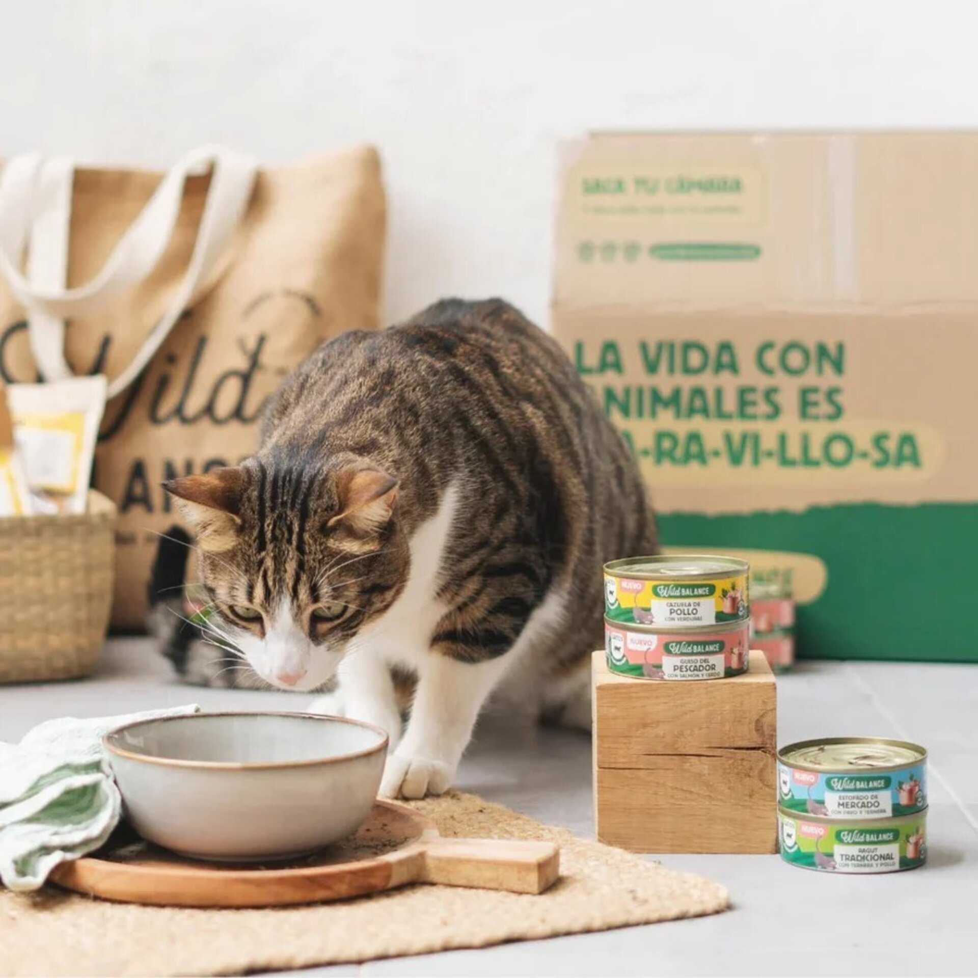 Wild Balance Cazuela de Pollo con verduras para Gatos (Filosofía BARF) - 4