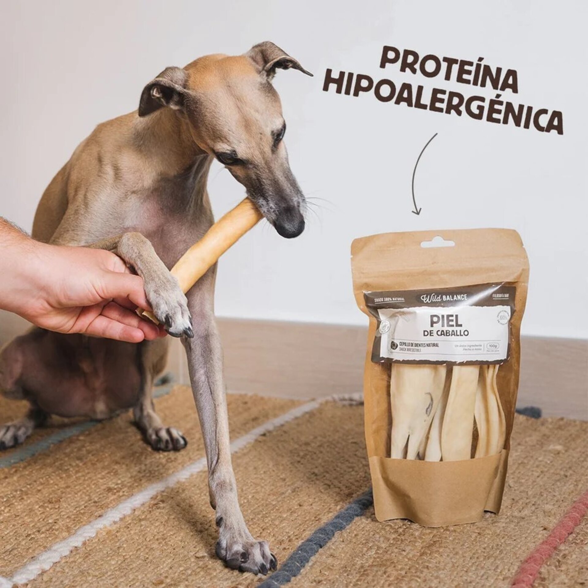 Wild Balance Piel de Caballo - 3