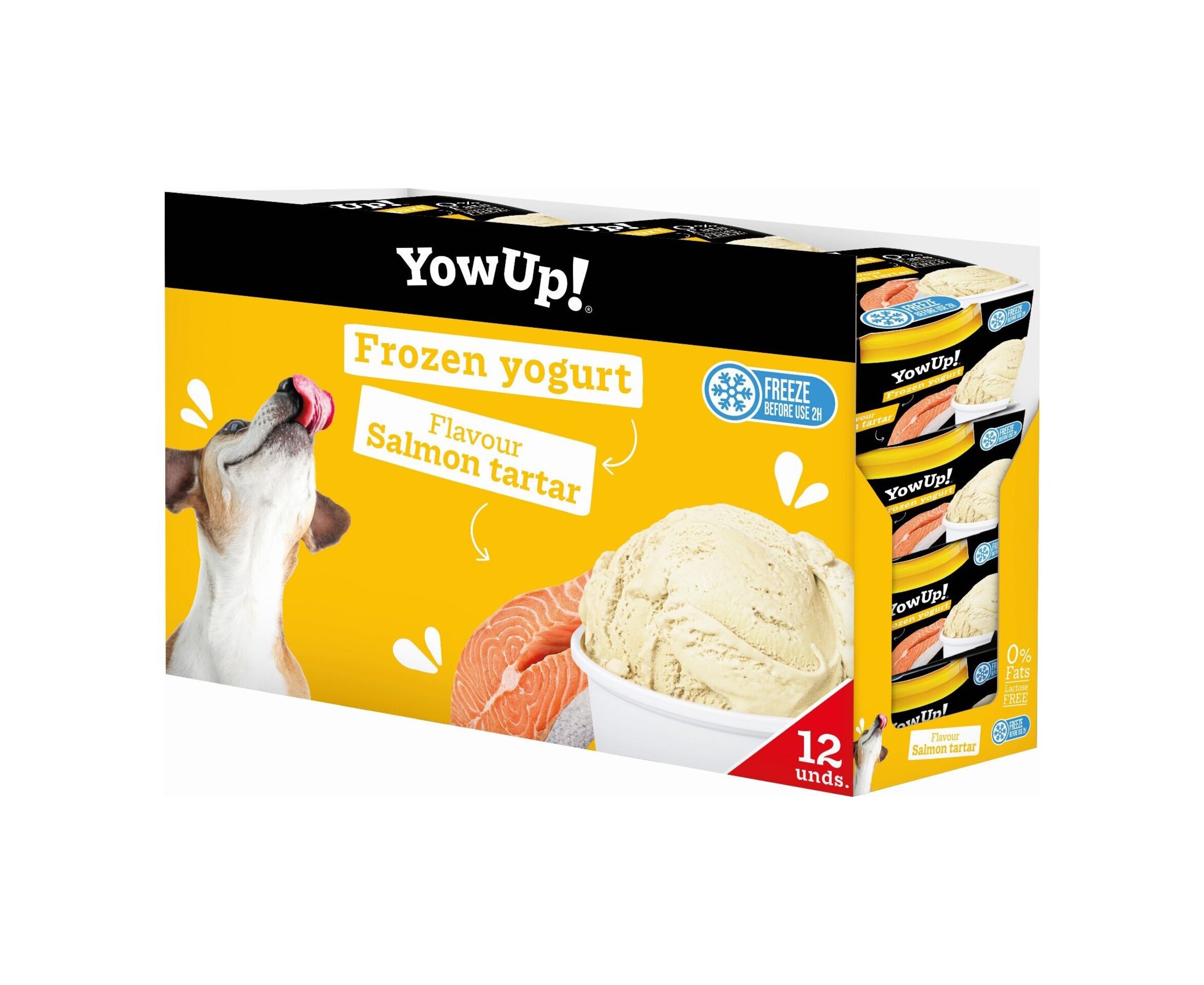 Helado Yowup Yogur Tartar Salmon - 2