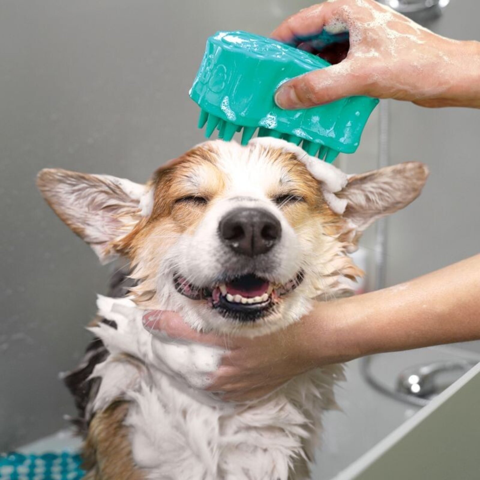 Cepillo Kong Zoom Groom Bubbles - 3