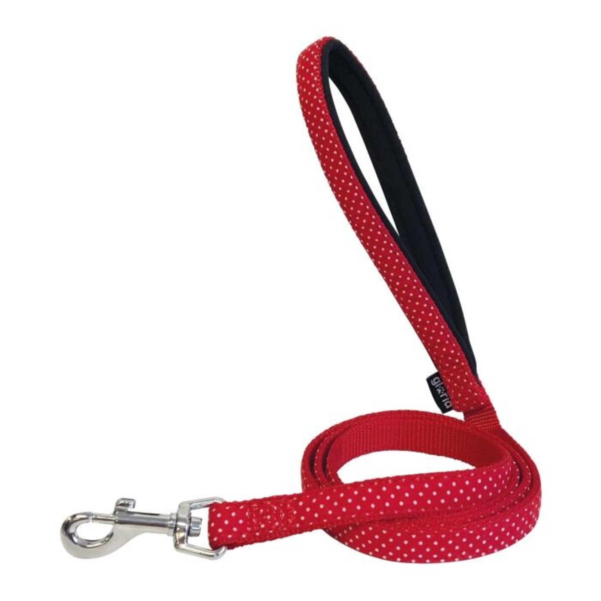 Correas Puntos - 3