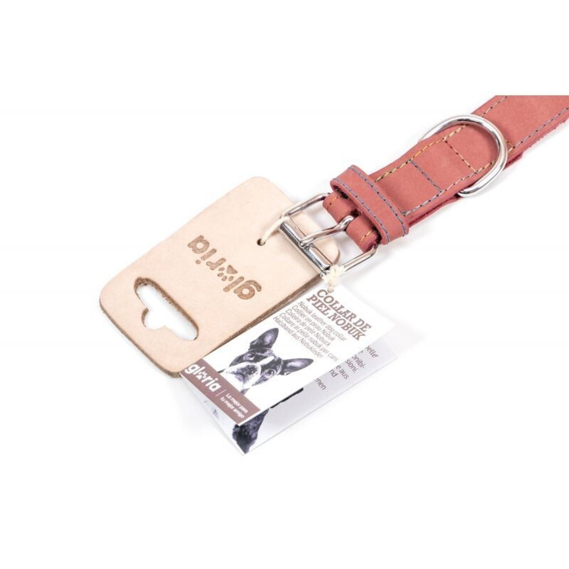 Gloria Collares de Piel Oasis para Perros - 29