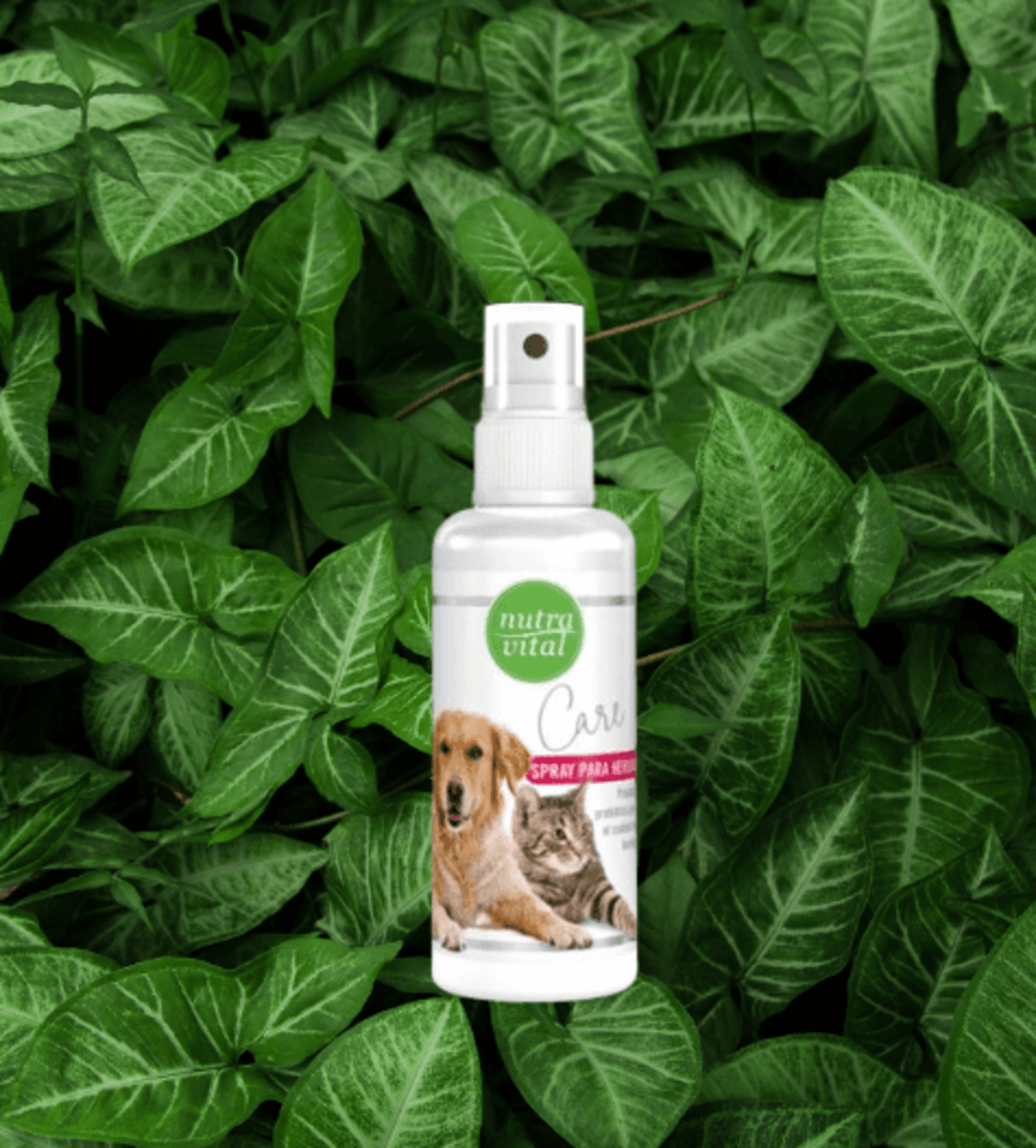 NutraVital Para Heridas Perro Y Gato - 1