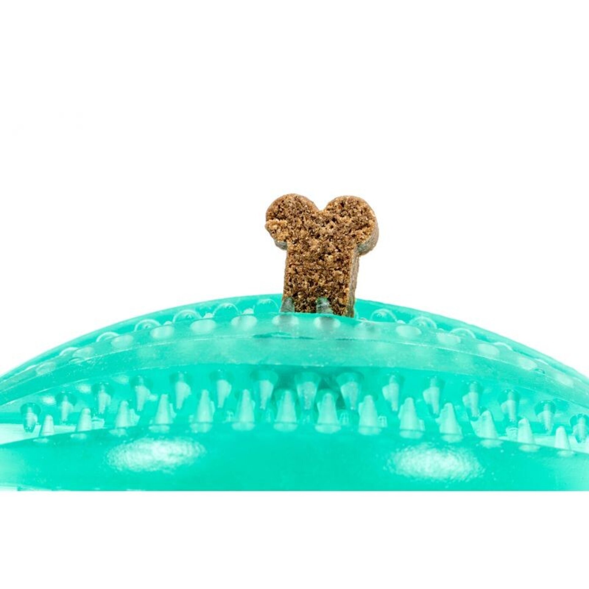 Pelota Rugby Dental TPR - 3