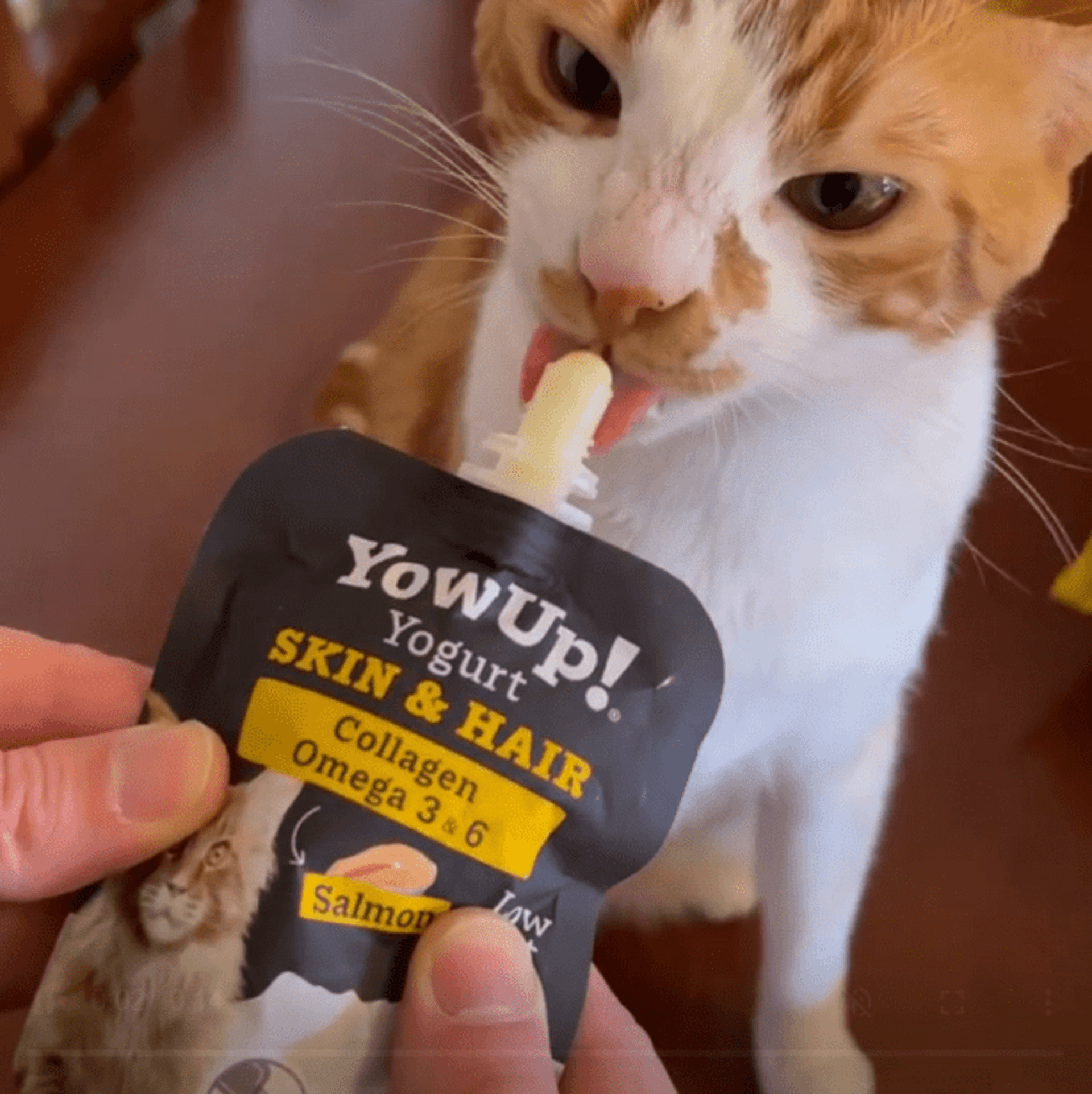 Yowup Yogur Skin And Hair De Pescado Para Gatos - 6