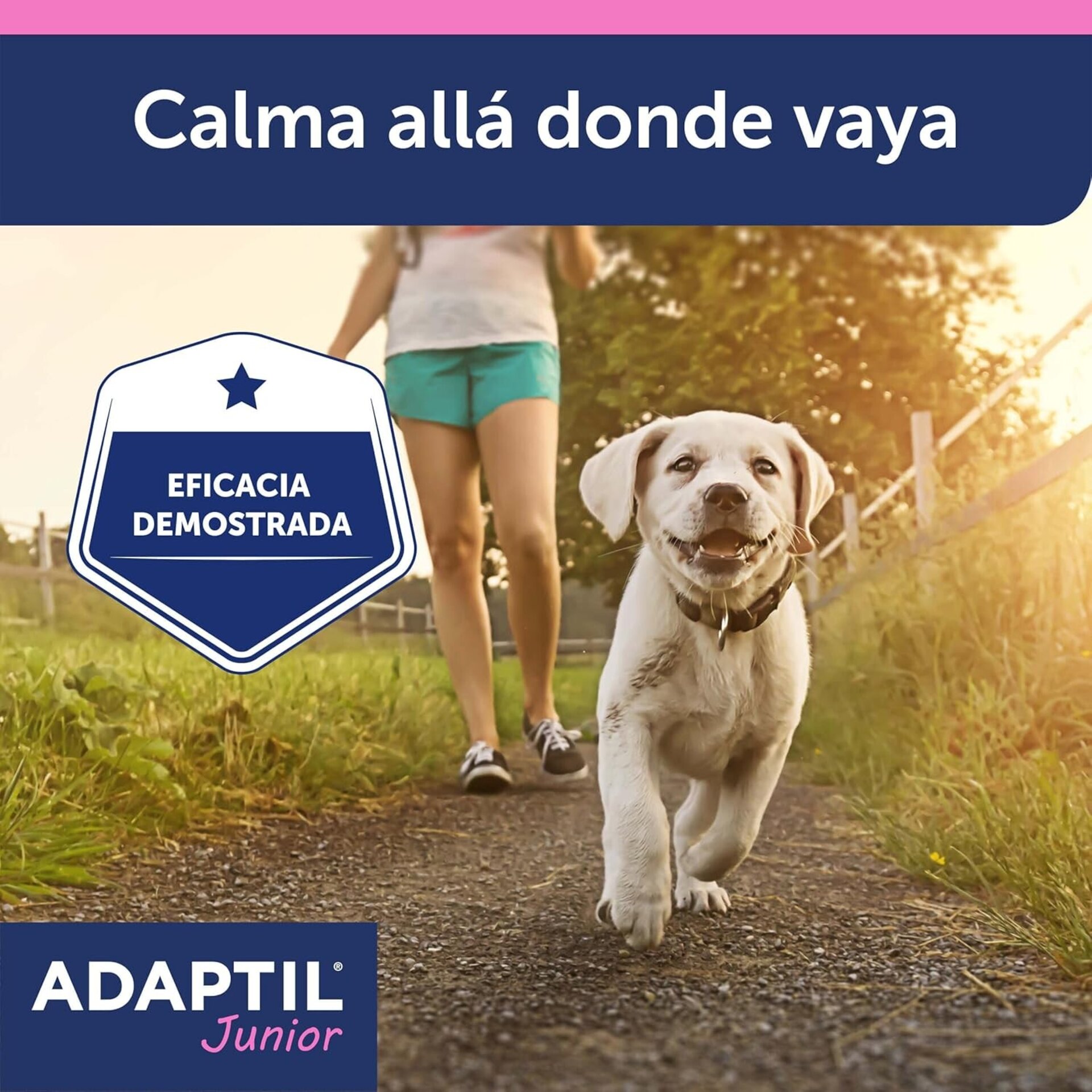 Adaptil Collar Cachorro - 7