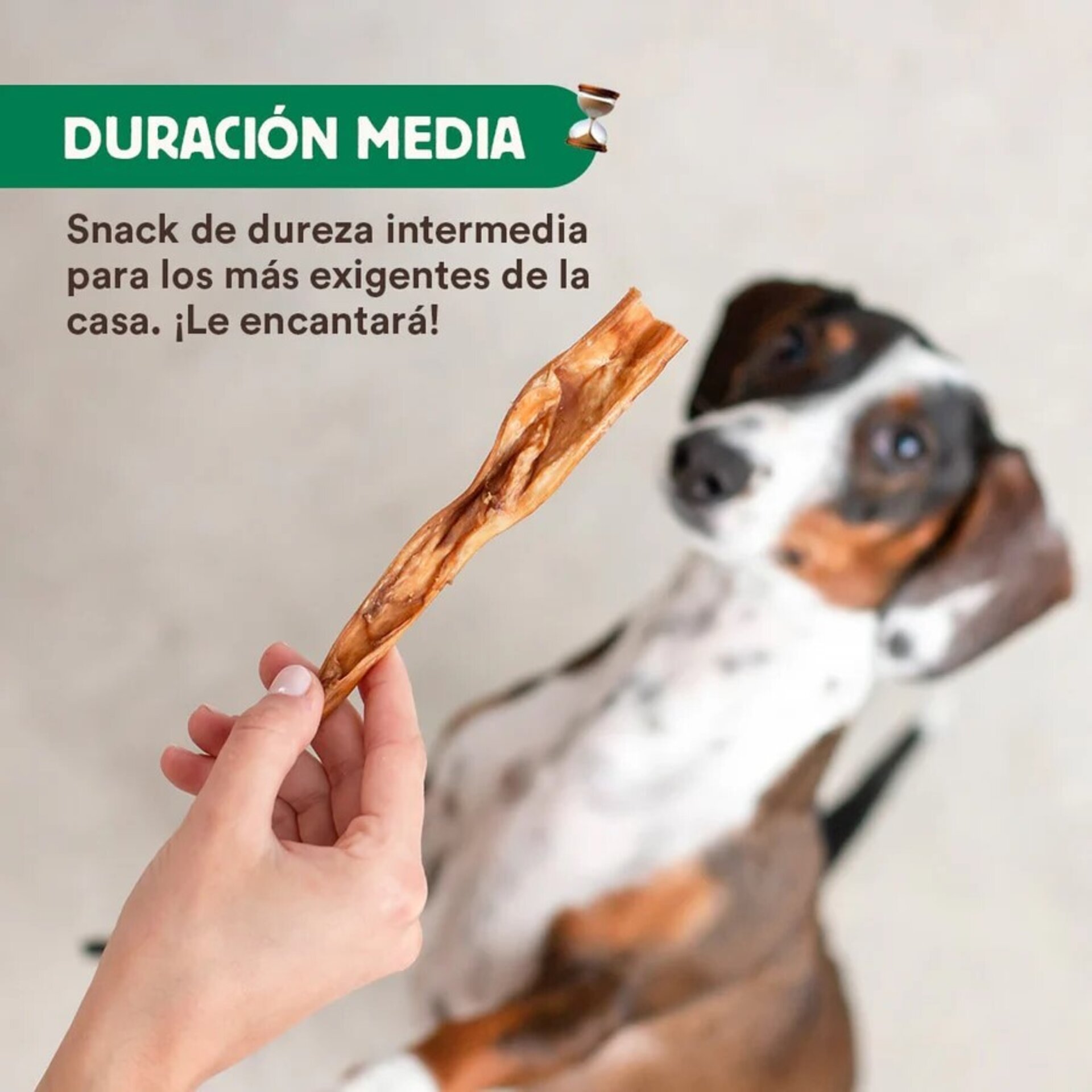 Wild Balance Caravaca de Cabra - 4