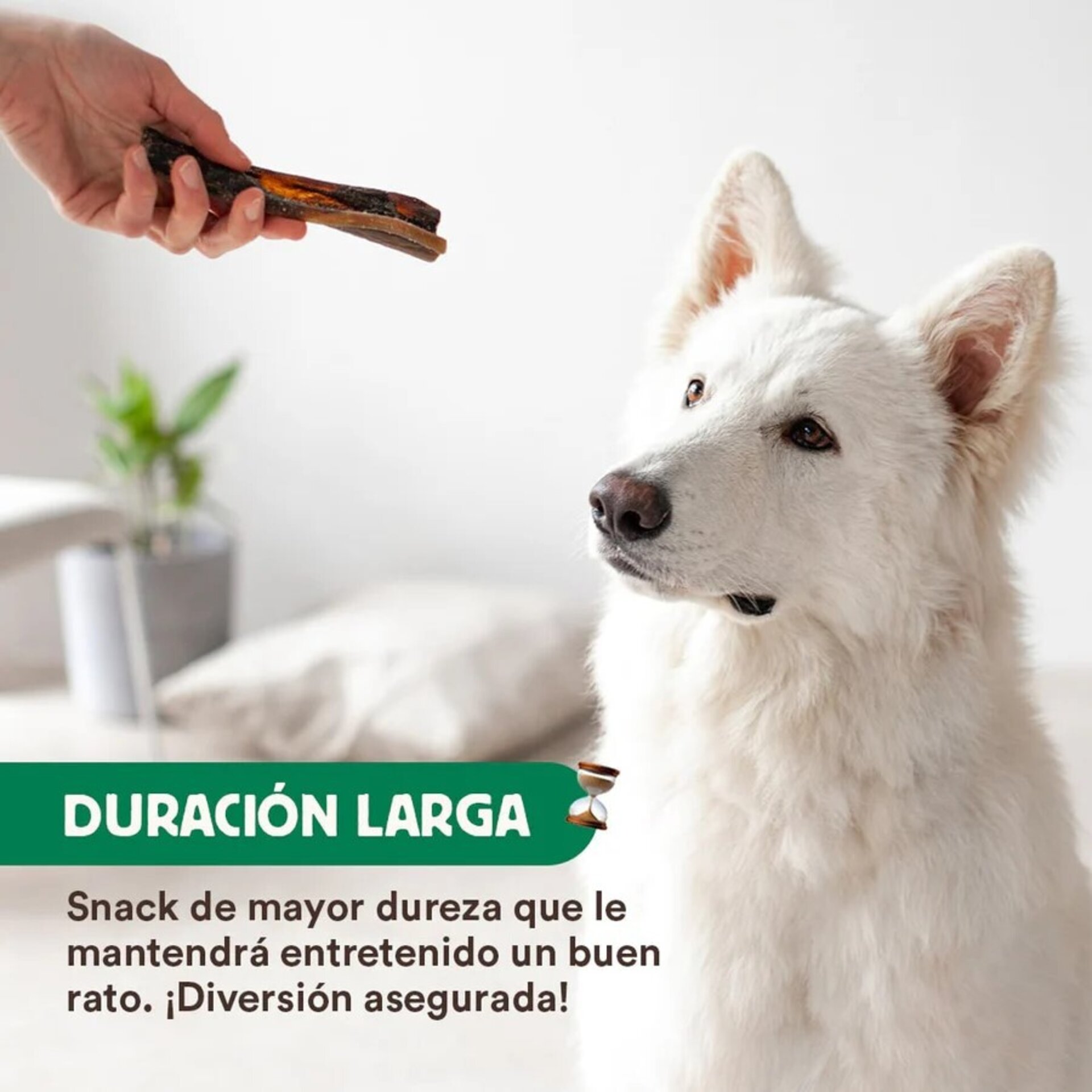 Wild Balance Caravaca de Camello - 4