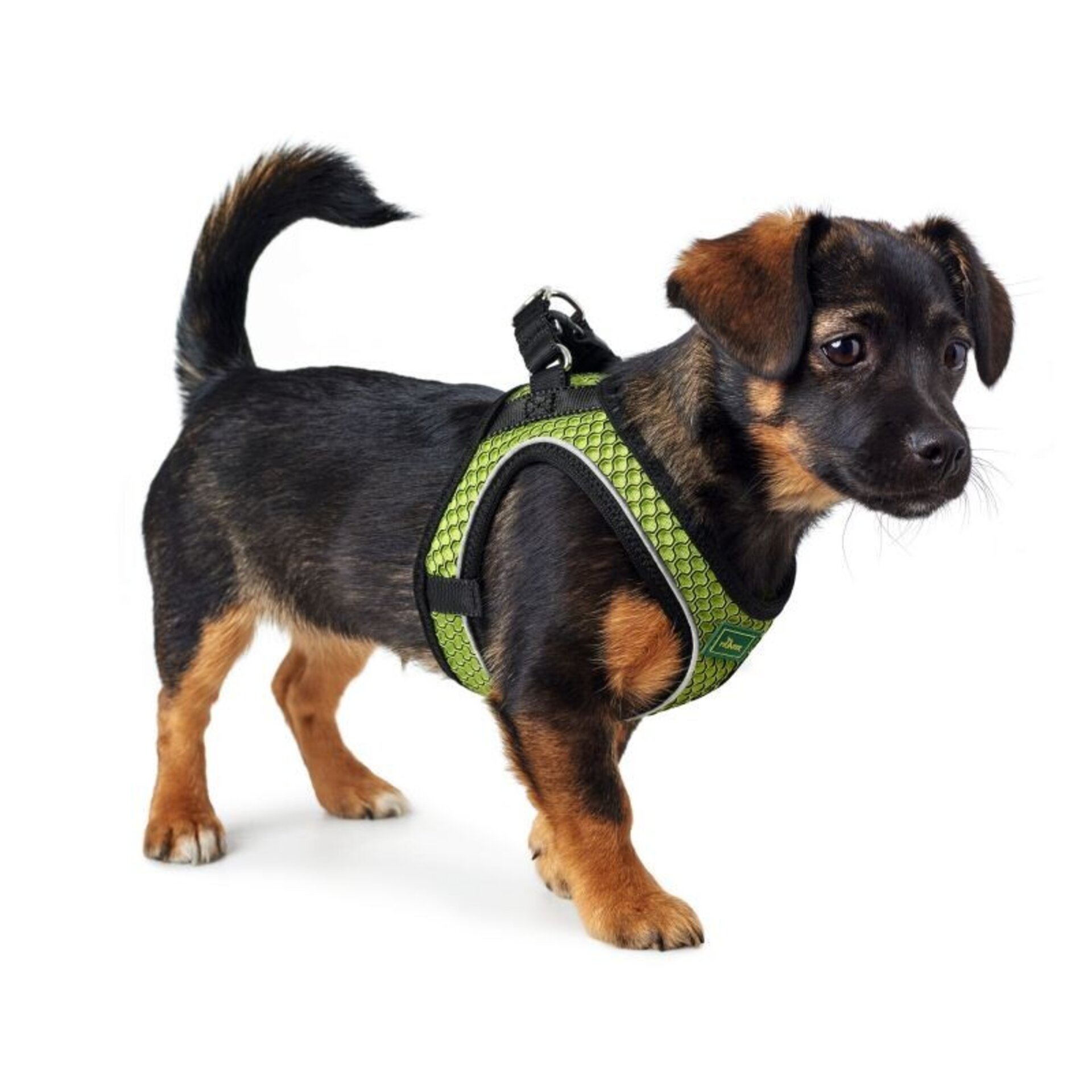 Arnes Hilo Comfort Hunter - 12