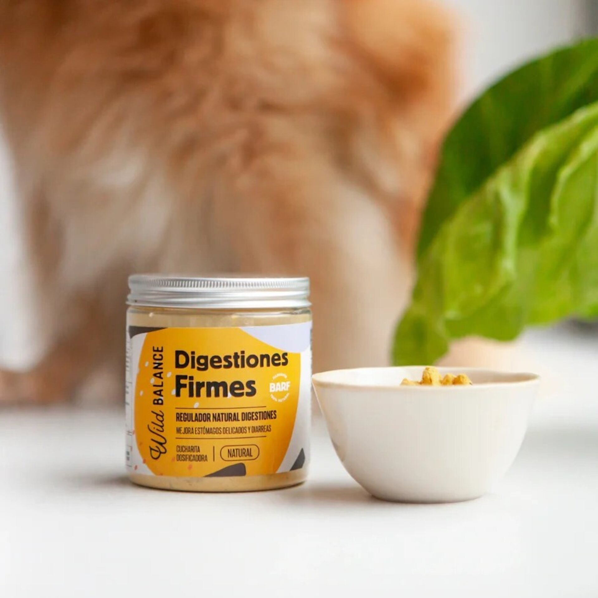 Wild Balance Digestiones Firmes (Perros y Gatos) - 7