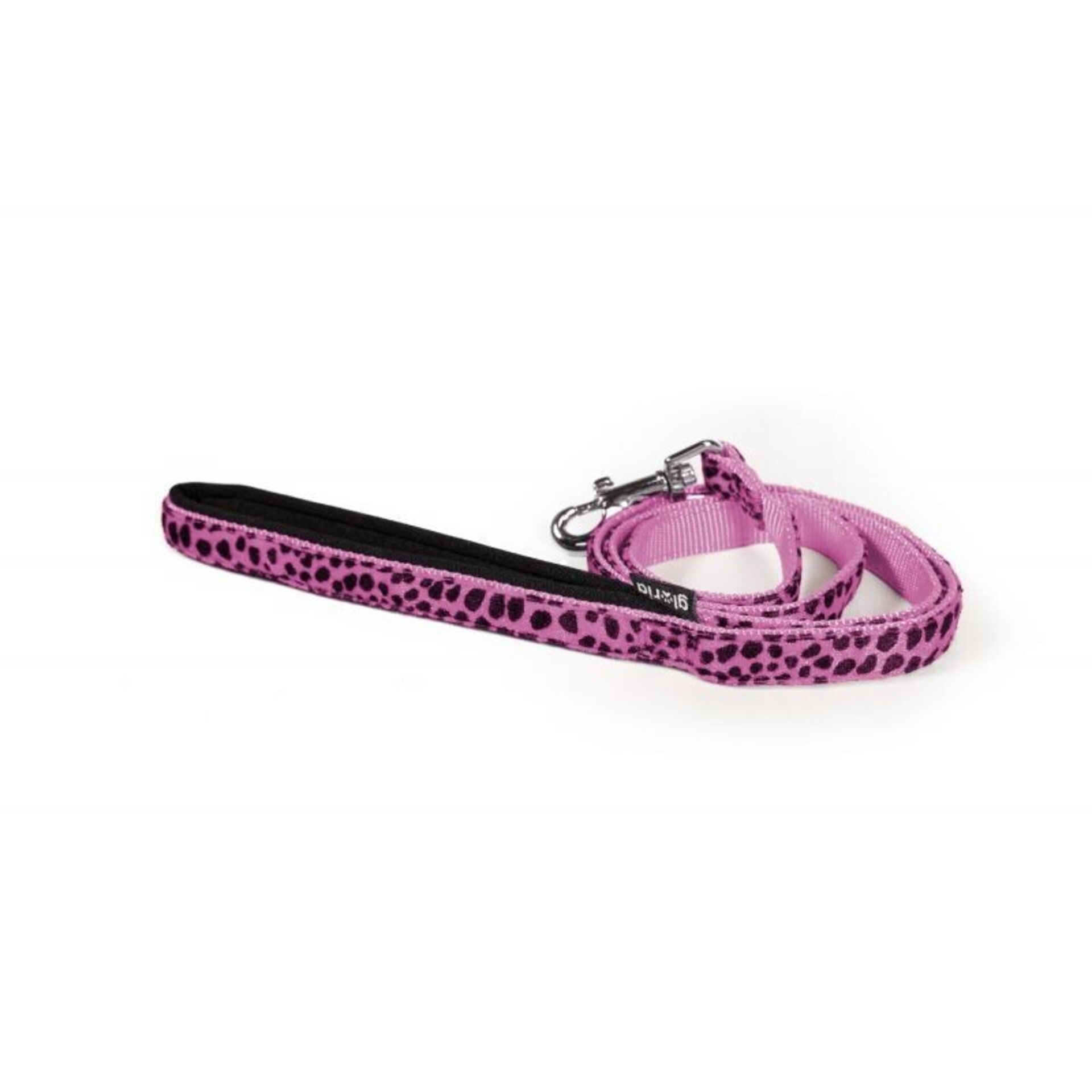 Correas Leopardo - 4