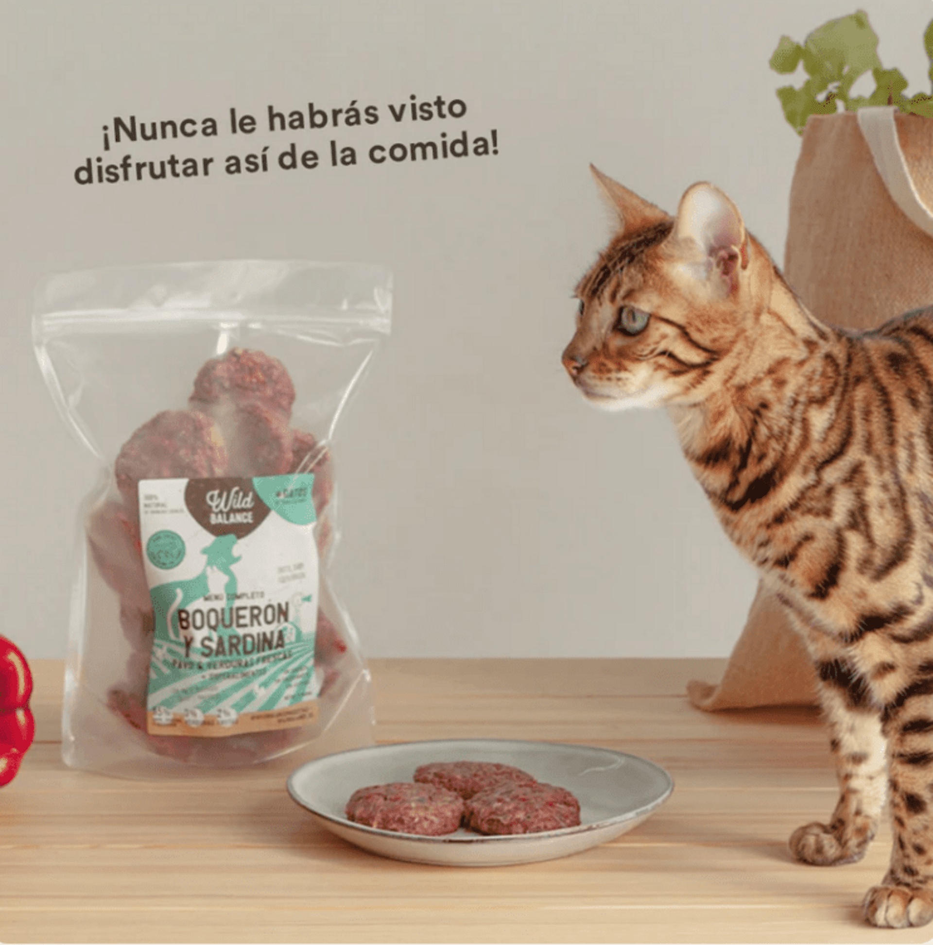 Menú BARF De Boquerón Y Sardina - 6