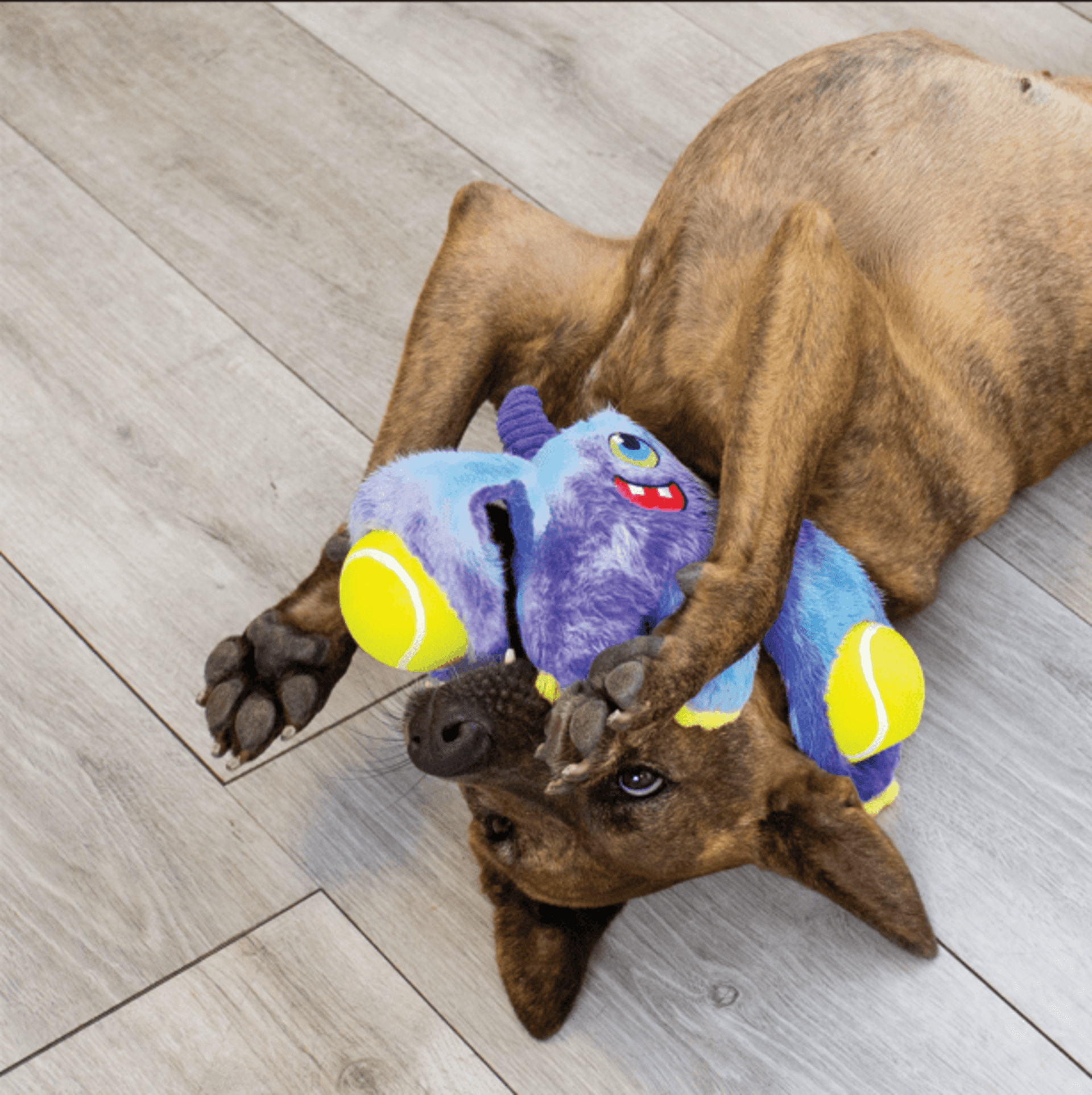Peluche Kong Woozles Monster Assorted - 1