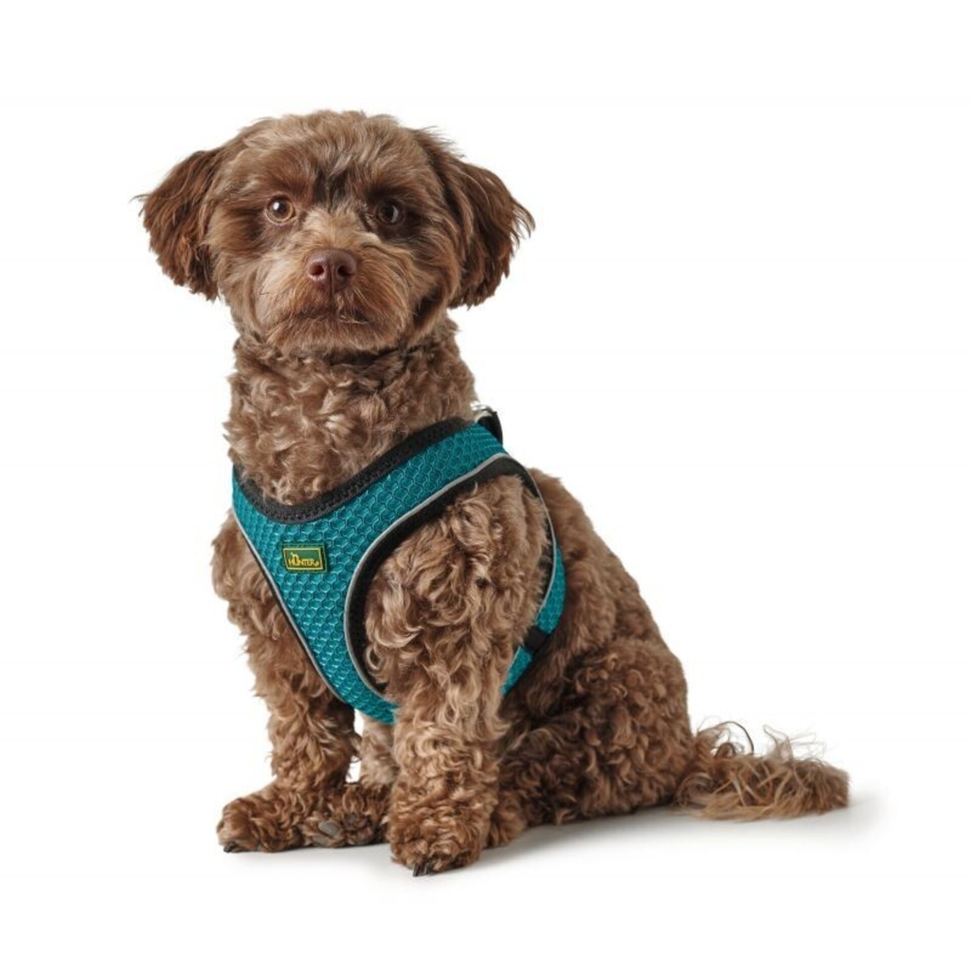 Arnes Hilo Comfort Hunter - 13