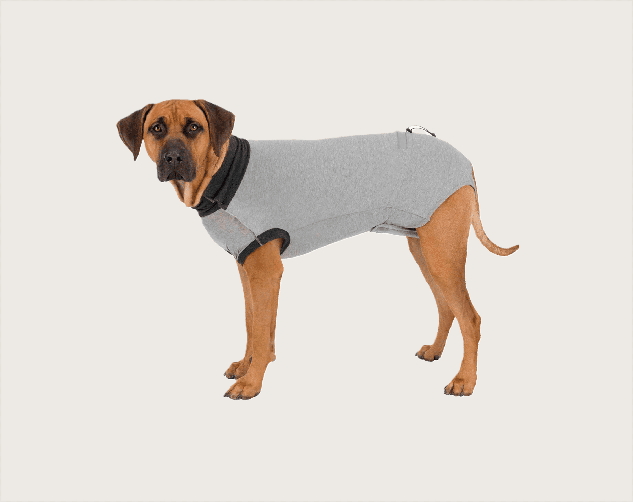 Trixie Body Protector para Perros Post Cirugía - 1