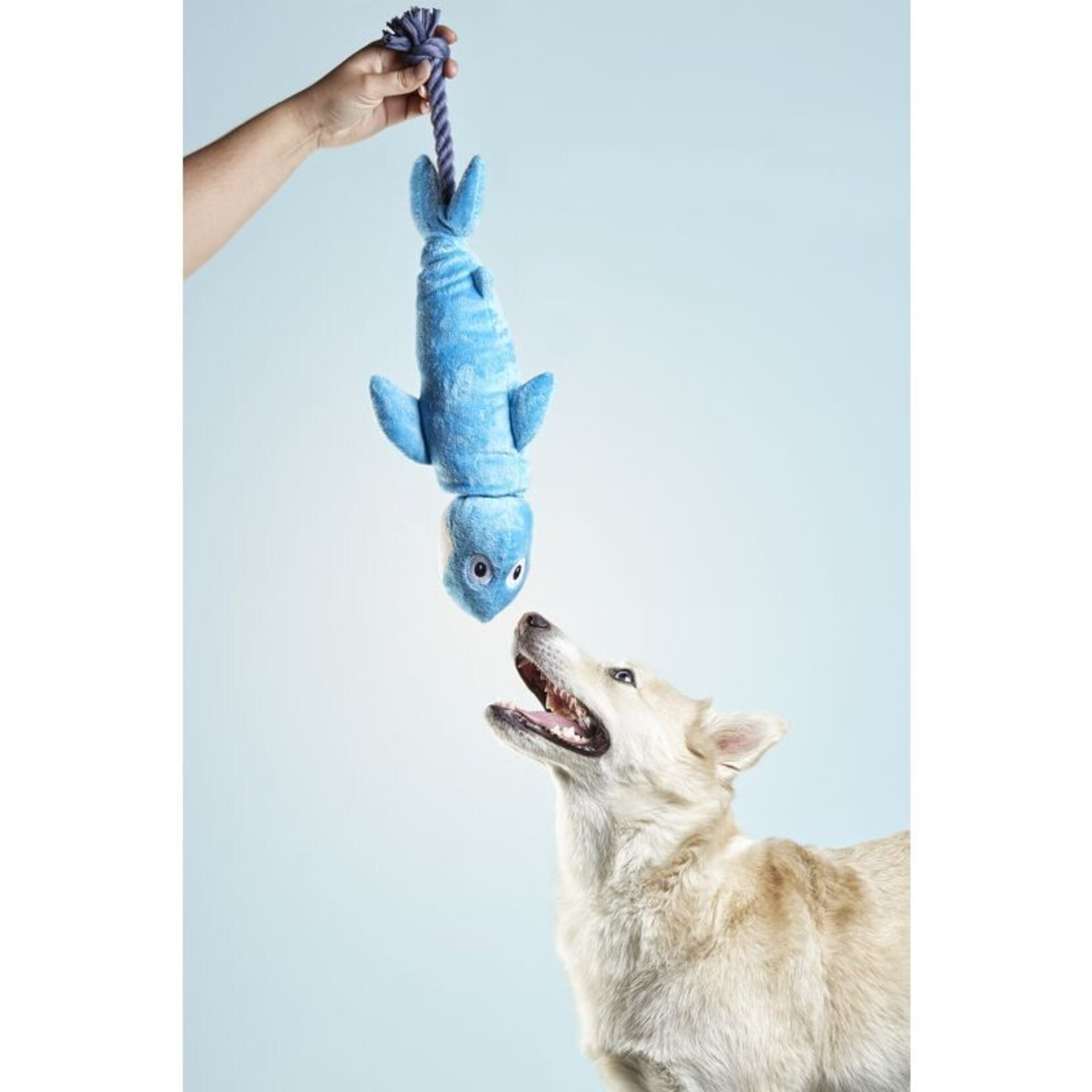 Peluche Clint Tiburon - 1