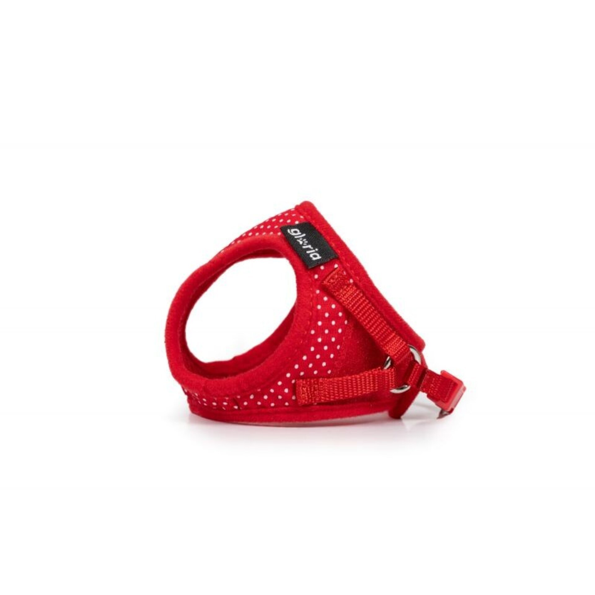 Gloria Petral de Colores y Puntos - 4