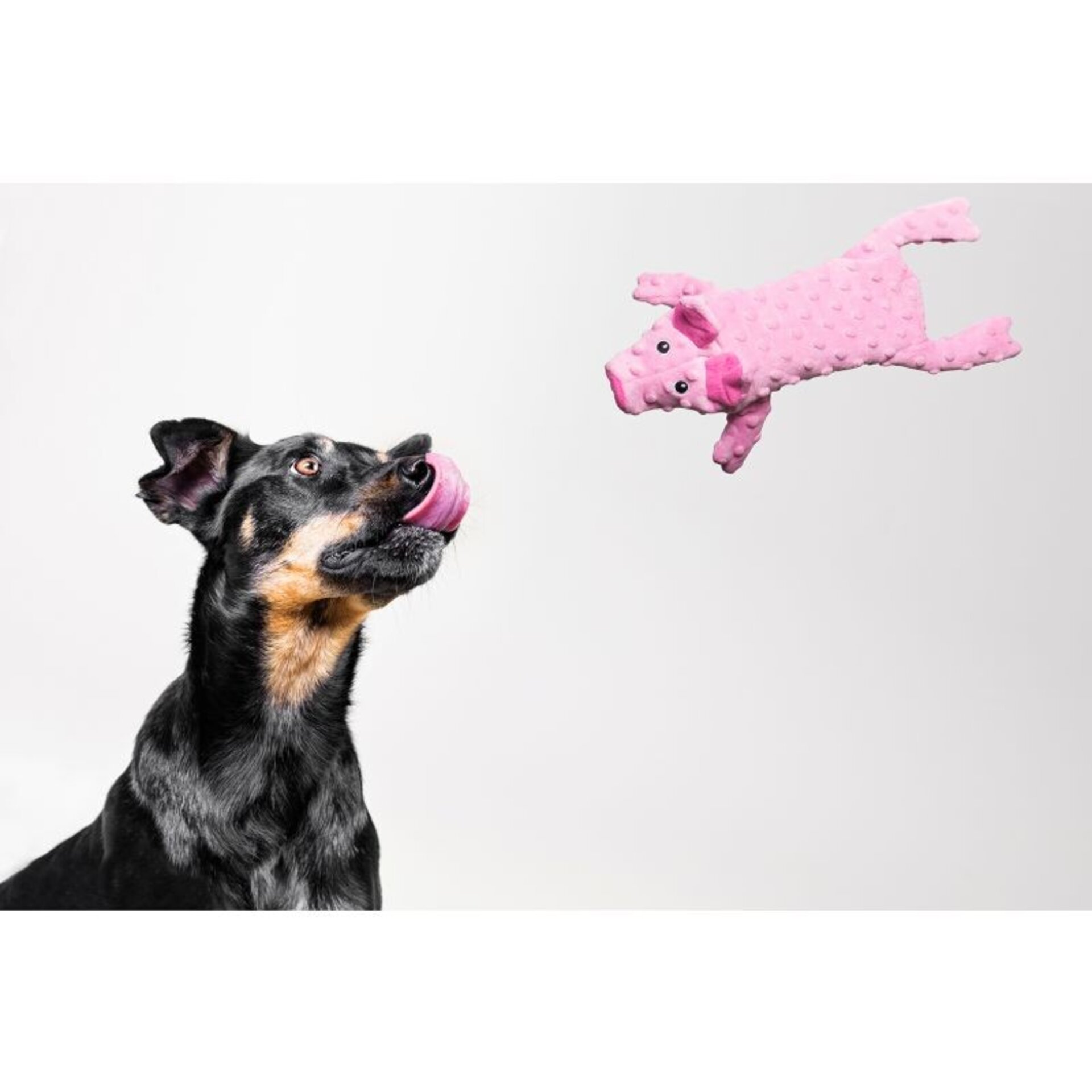 Pelcuhe Dogmonsters Cerdo Para Botella - 1
