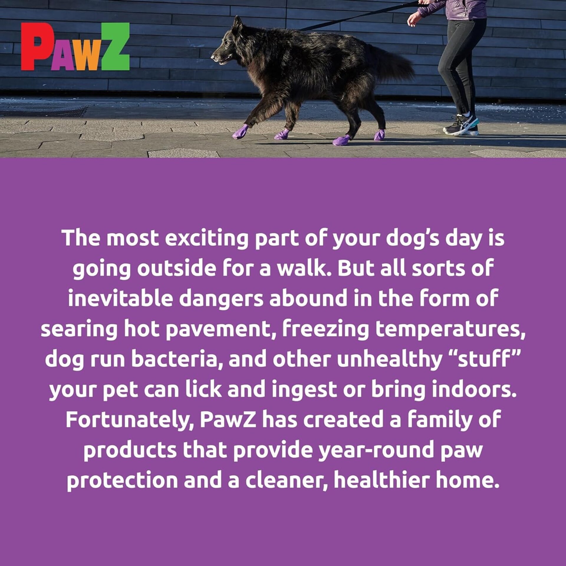 Pawz Botas Para Perros L - 7