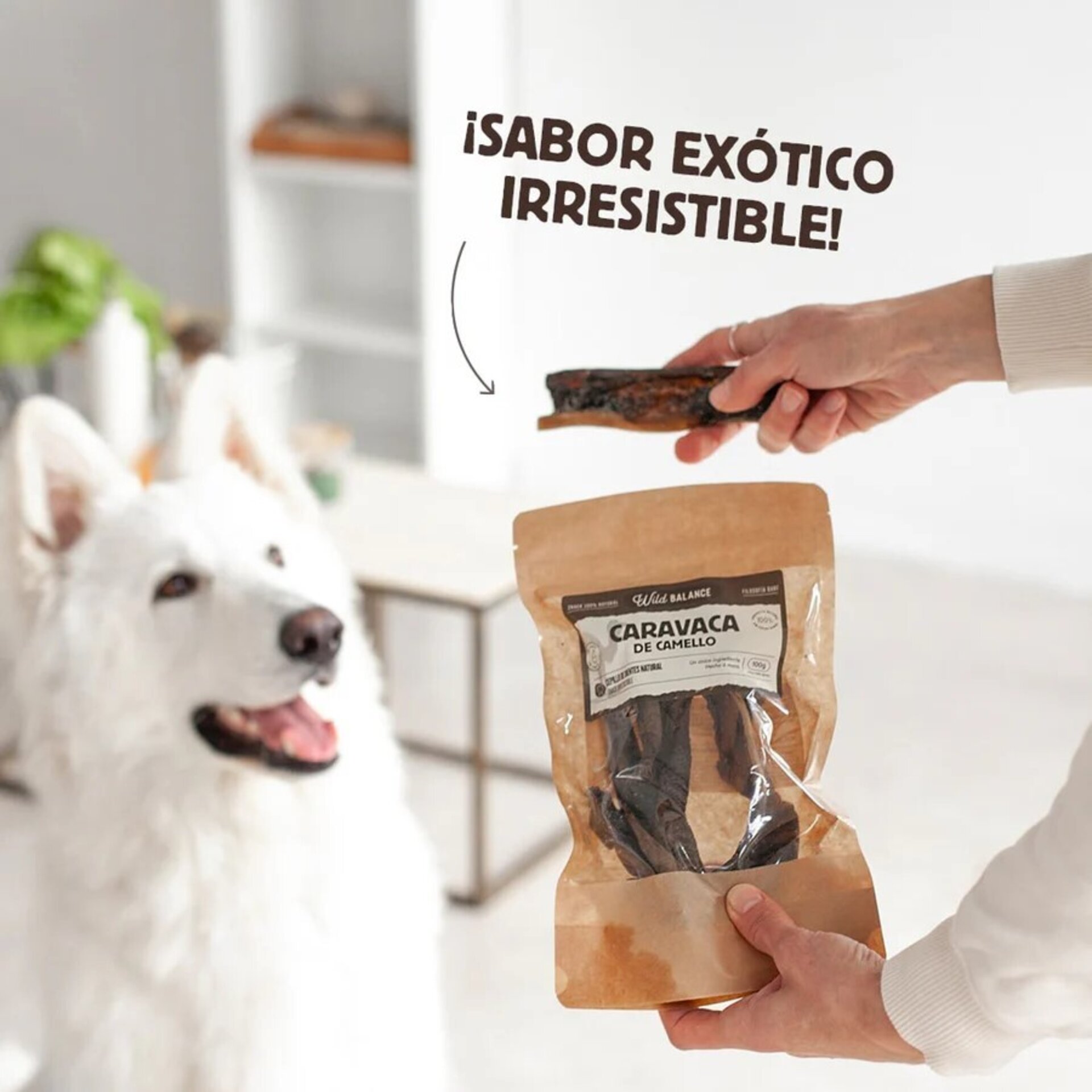 Wild Balance Caravaca de Camello - 3