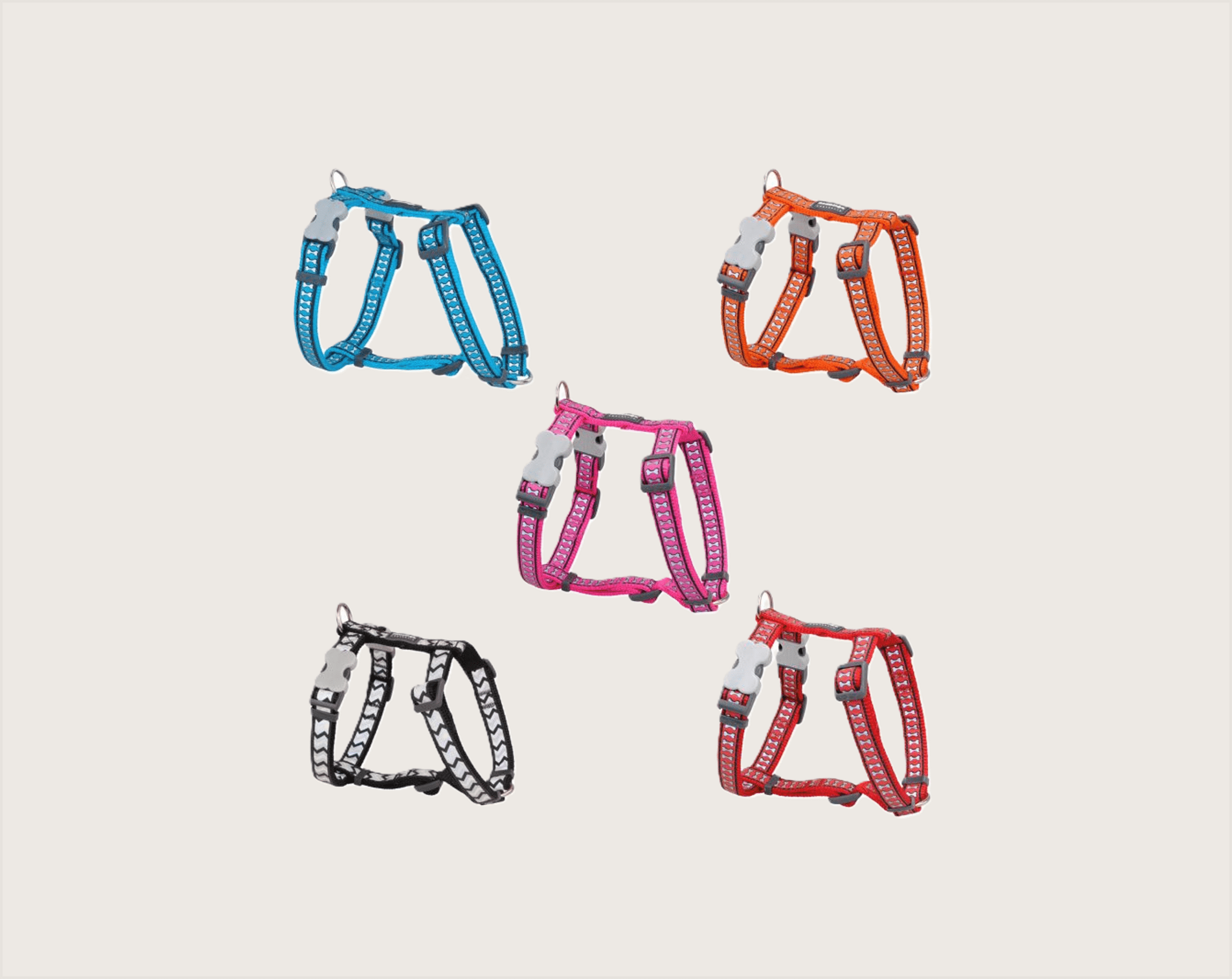 RedDingo Petral Reflectante para Perros - 1