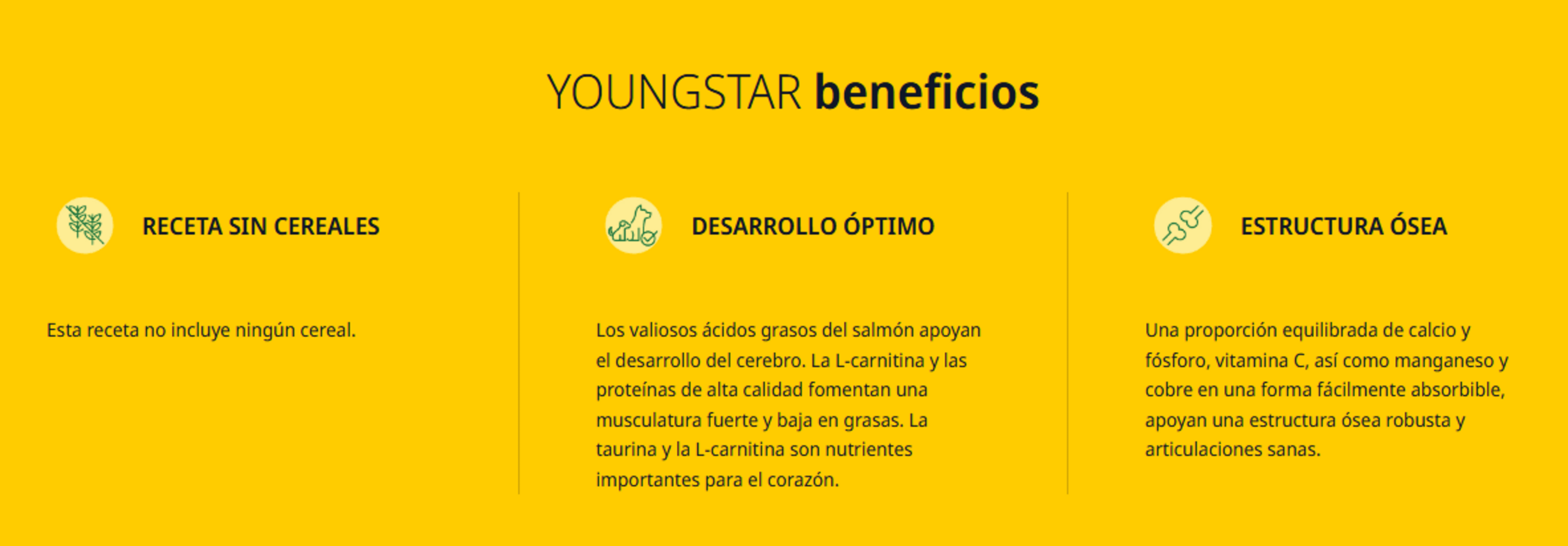 YoungStar Grain Free Puppy Josera - 4