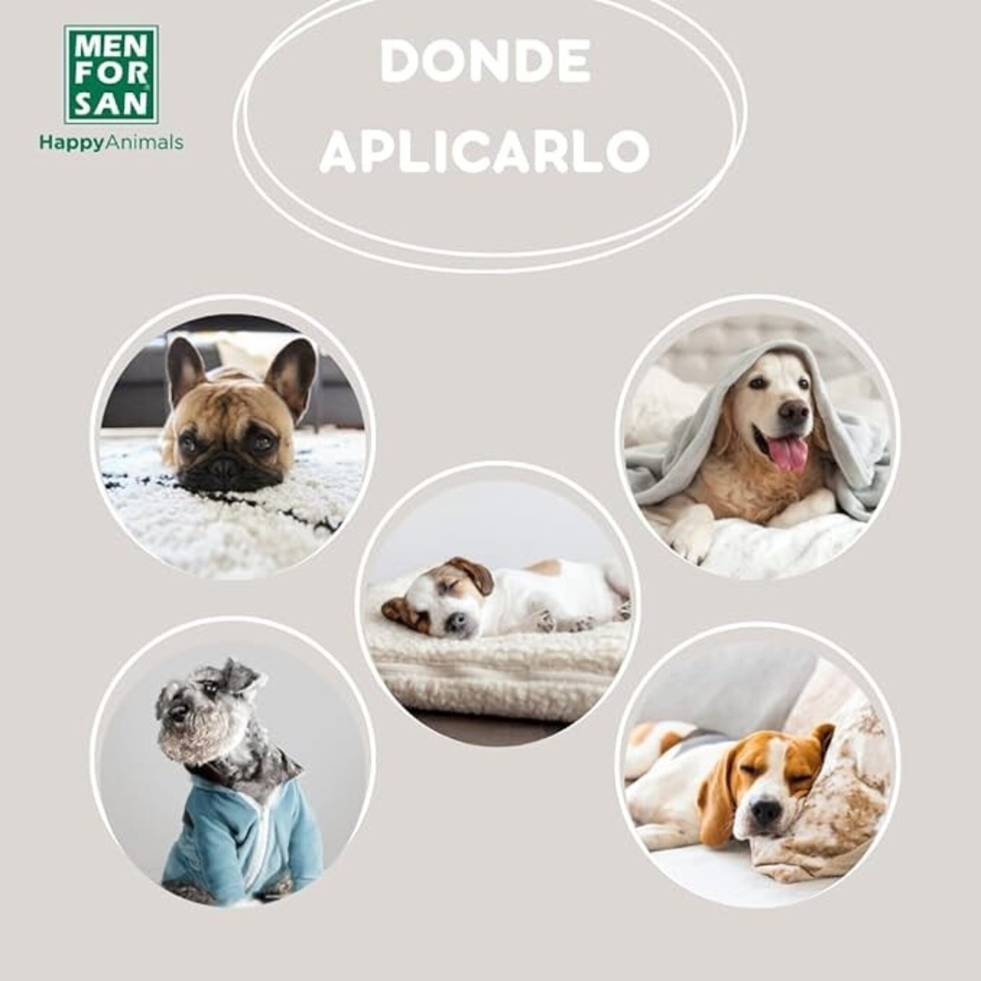 Detergente Para La ropa Y Cama De Las Mascotas Men For San - 4