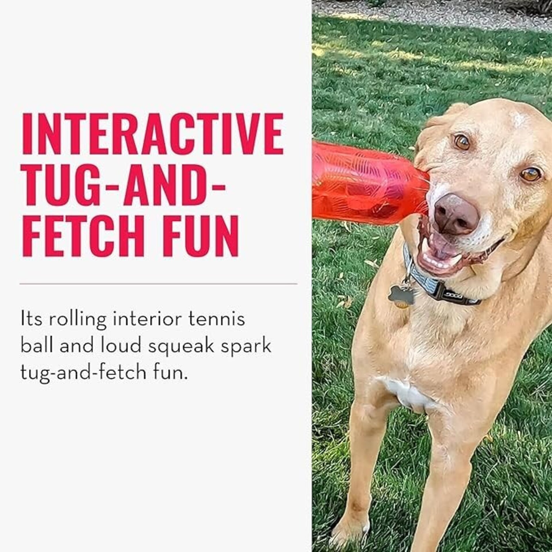 Kong Jumbler Tug Assorted para Perros - 4