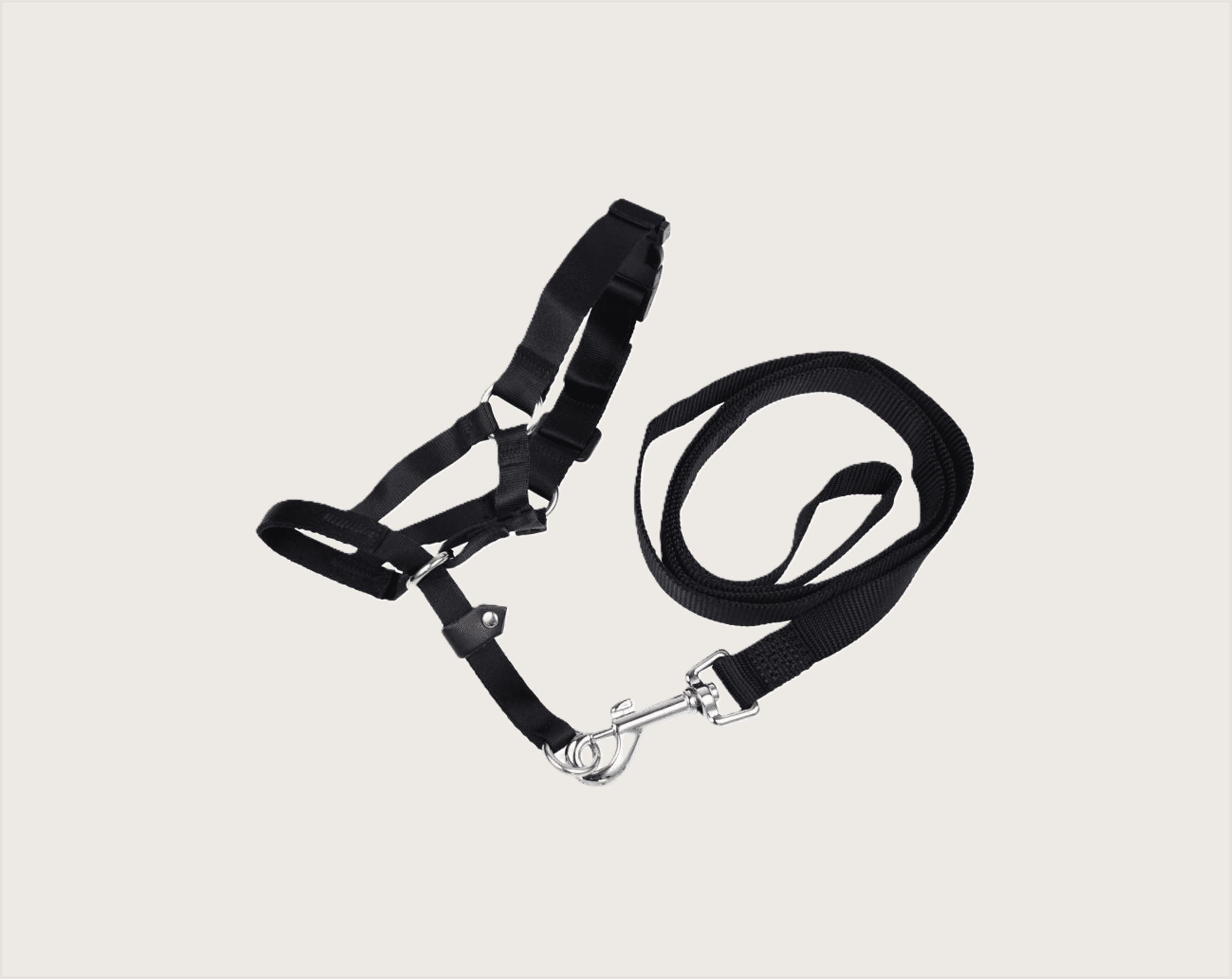 Gloria Bozal De Entrenamiento - 1