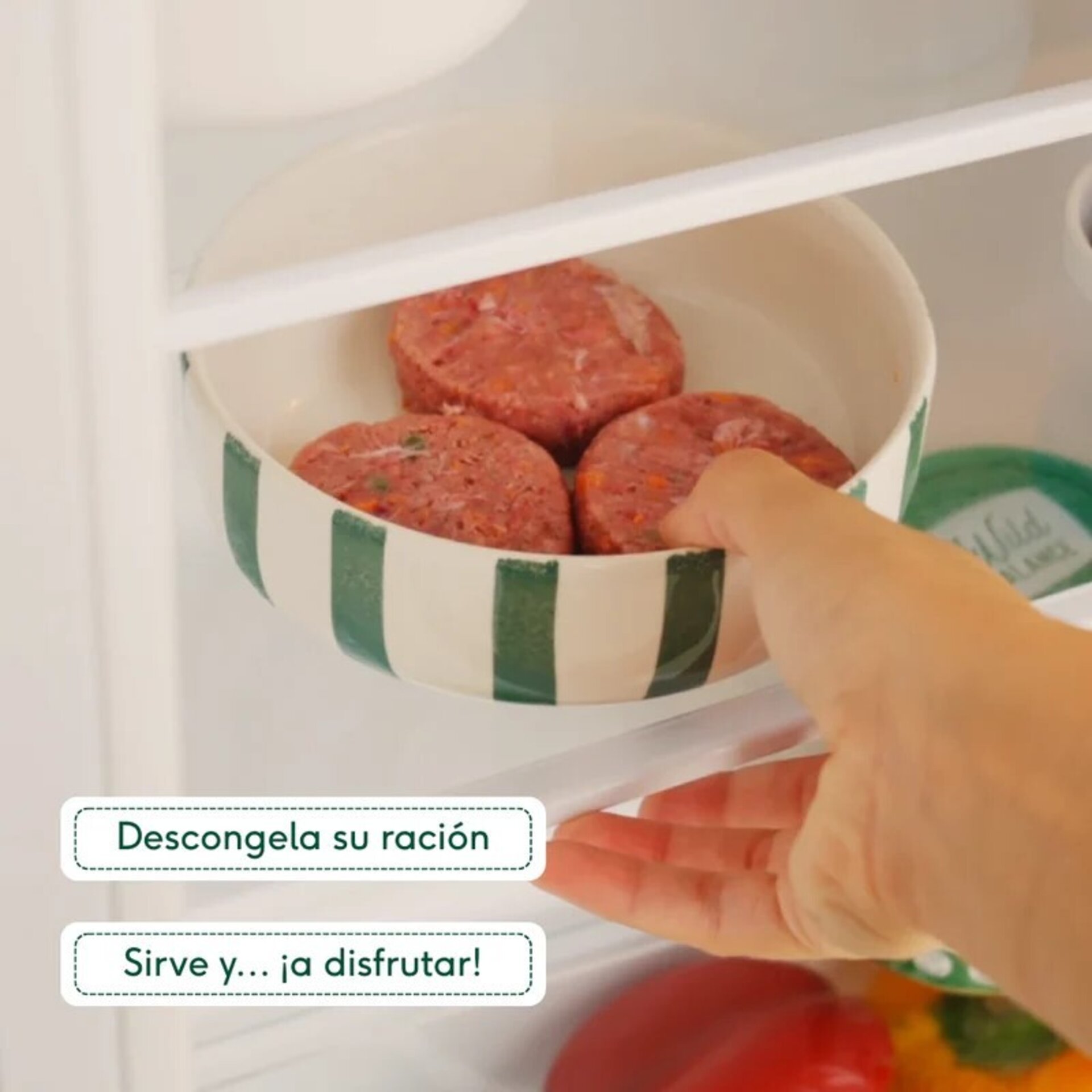 Wild Balance Pack Iniciación BARF para Gatos con Alma de Tigre - 12