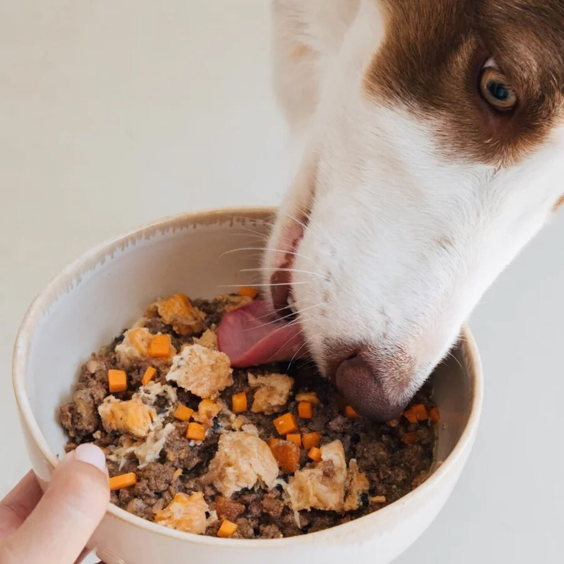 Wild Balance Lata de Salmón y Ternera para perros (Filosofía BARF) - 4