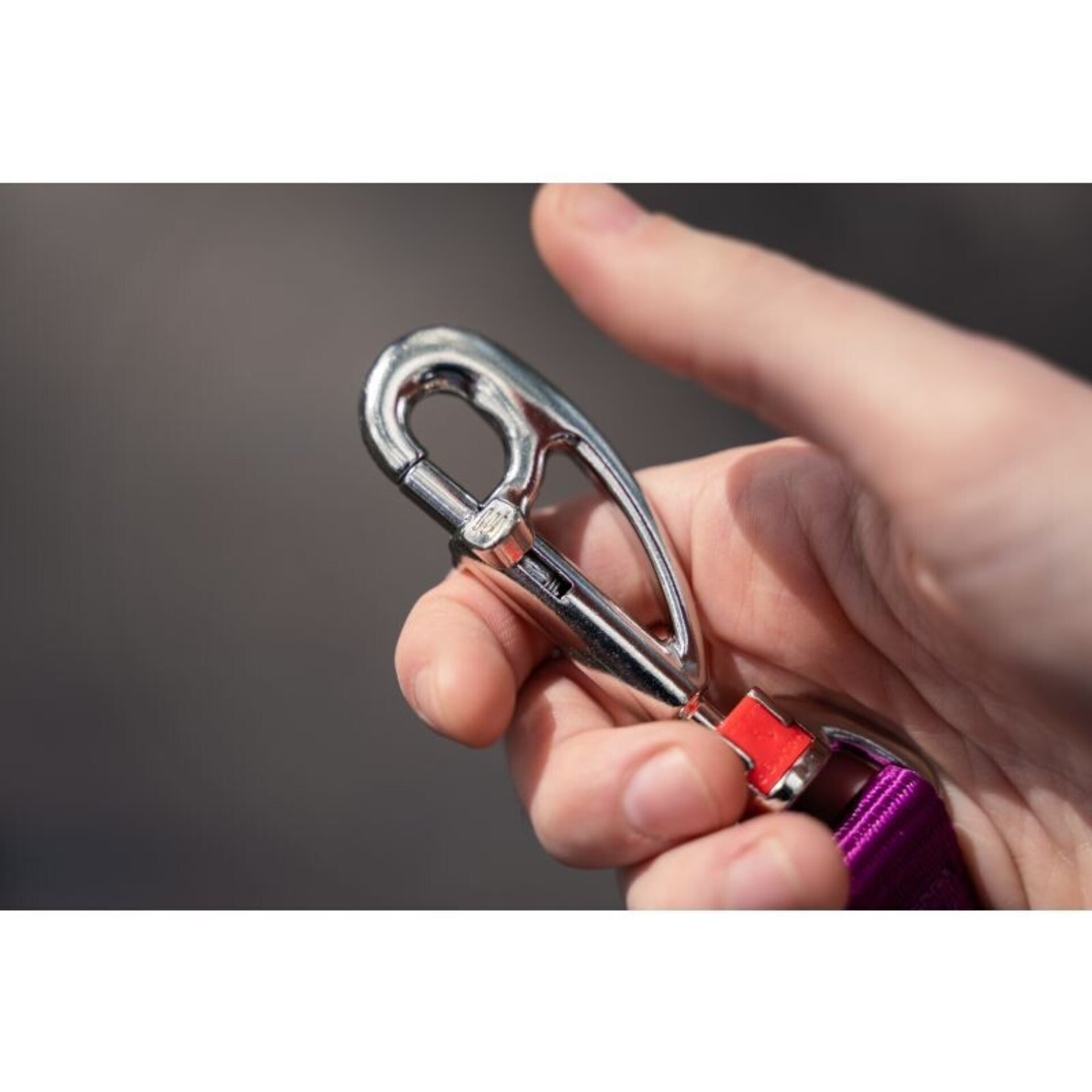 Correas Super Lead RedDingo - 3