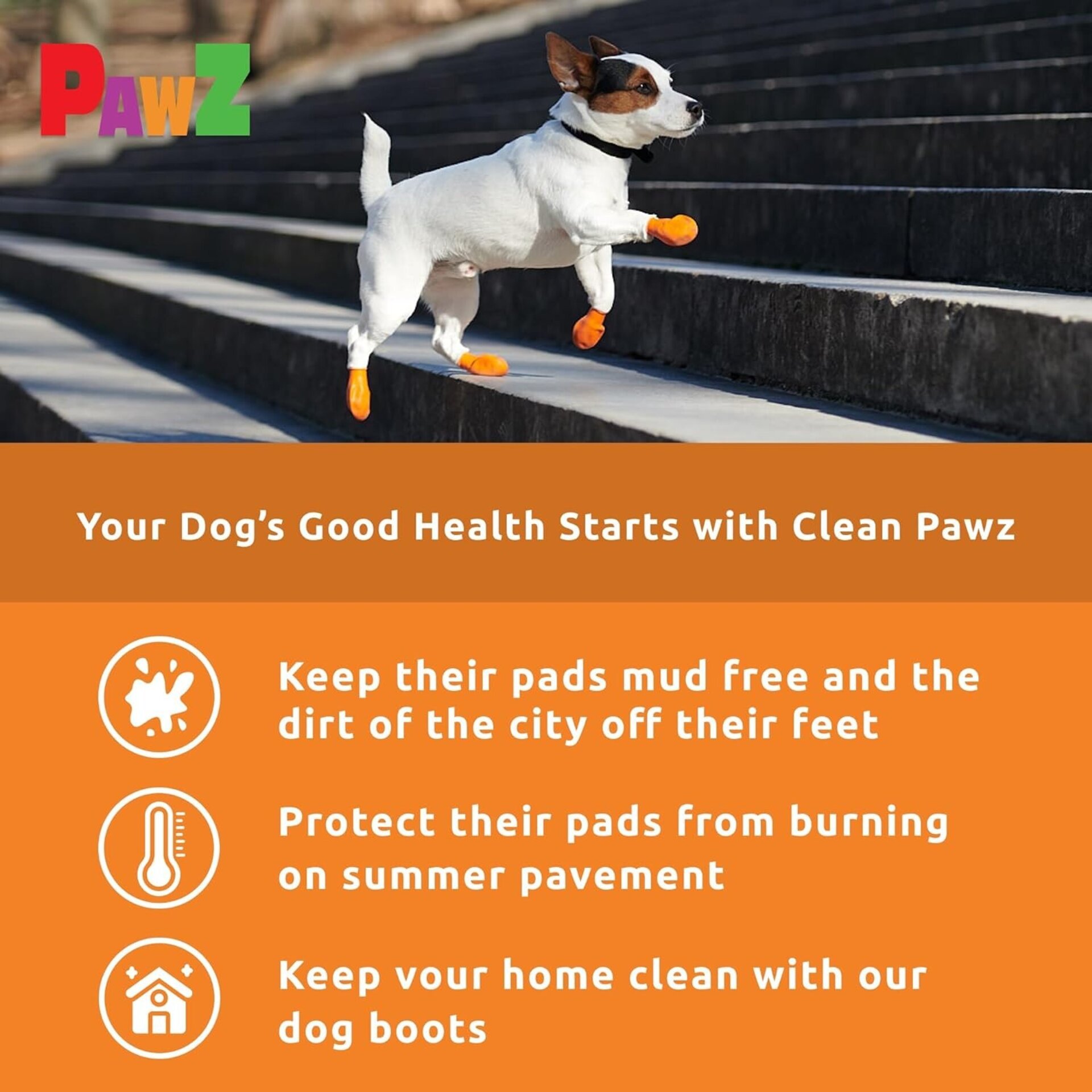 Pawz Botas Para Perros XS - 7