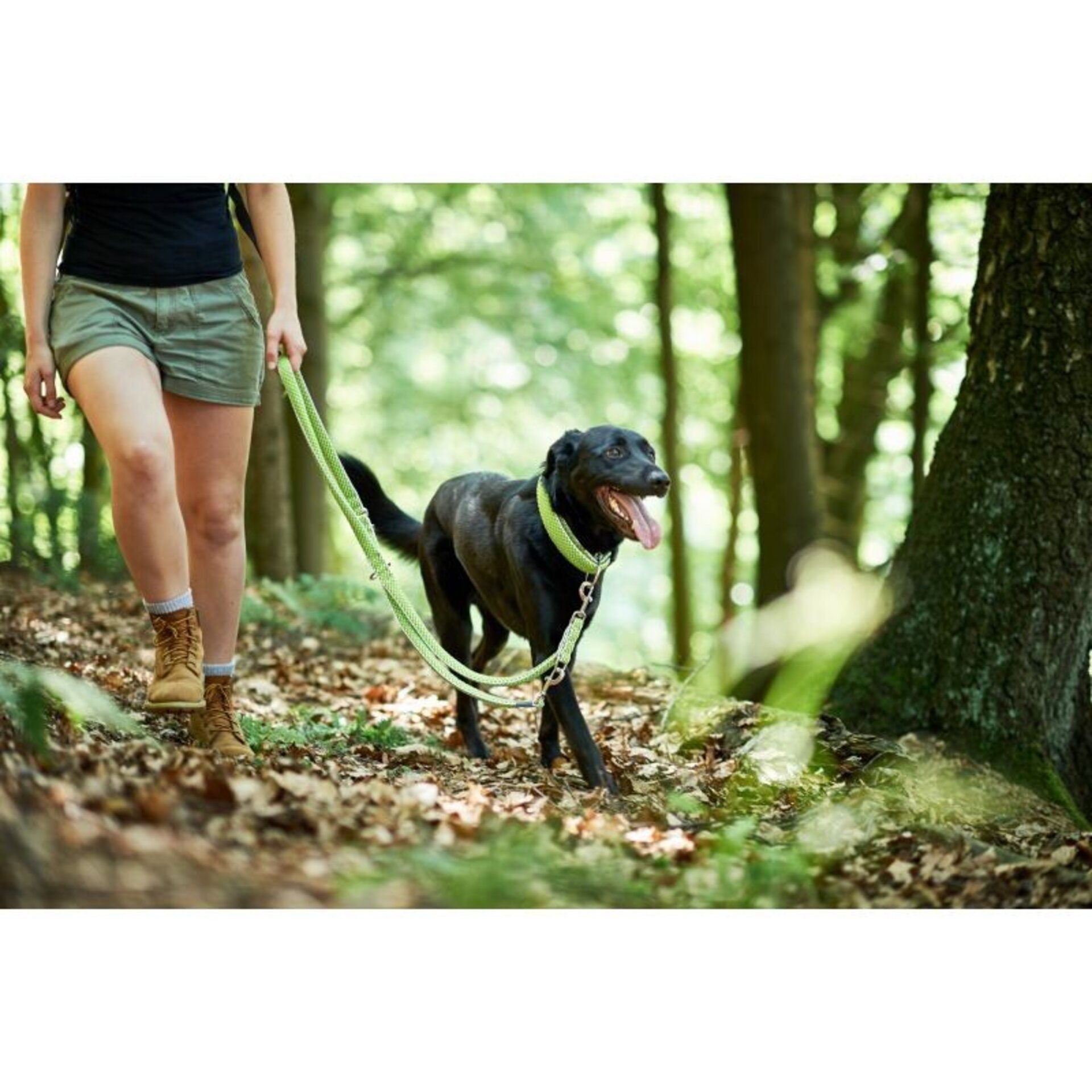 Hunter Correas Ajustables Hilo - 9