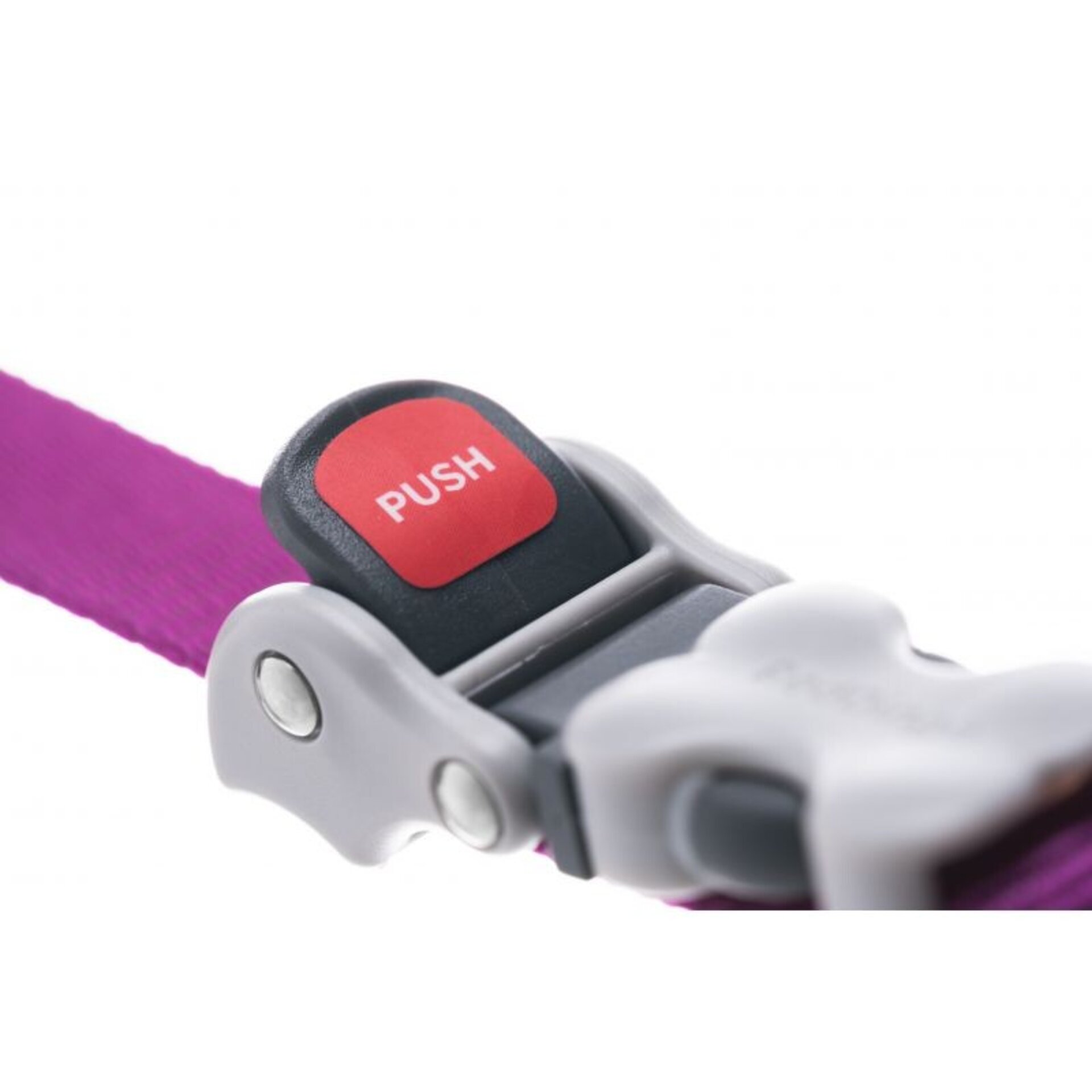 Correas Super Lead RedDingo - 6