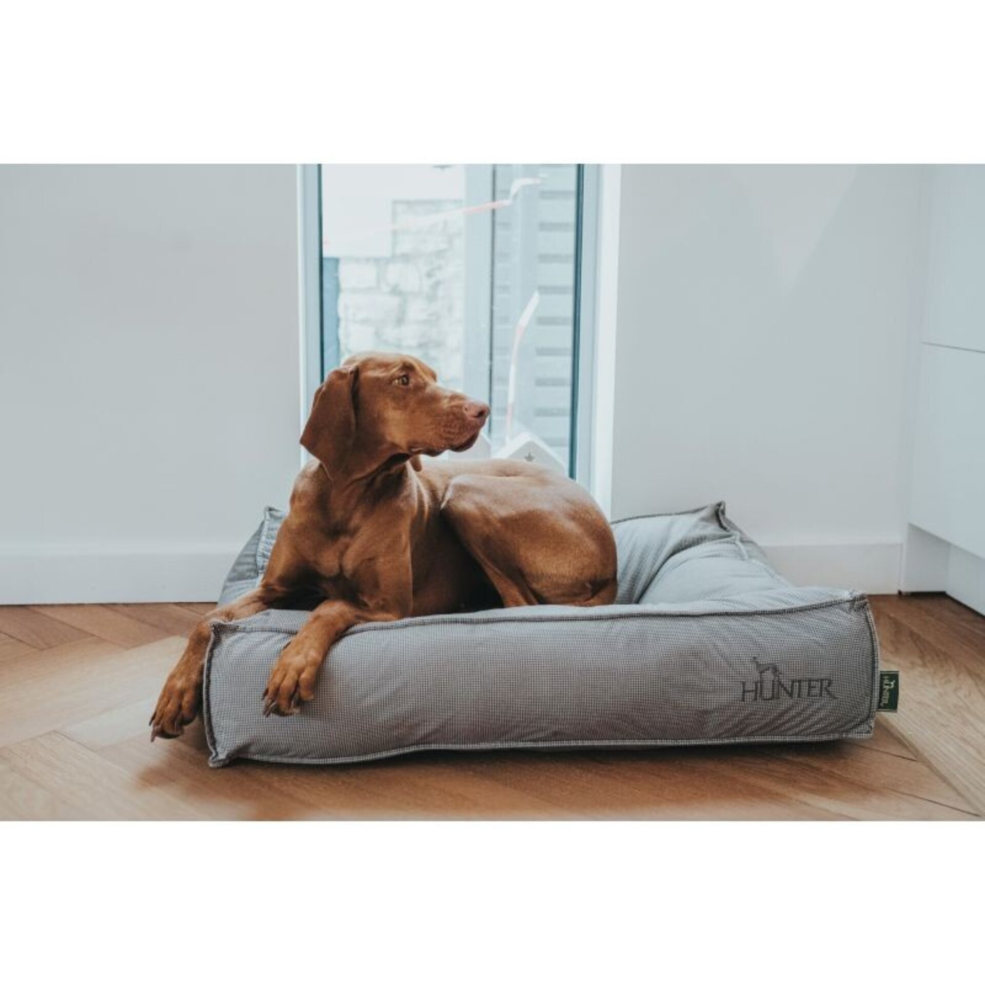 Cama Acolchada Lancaster Hunter - 6