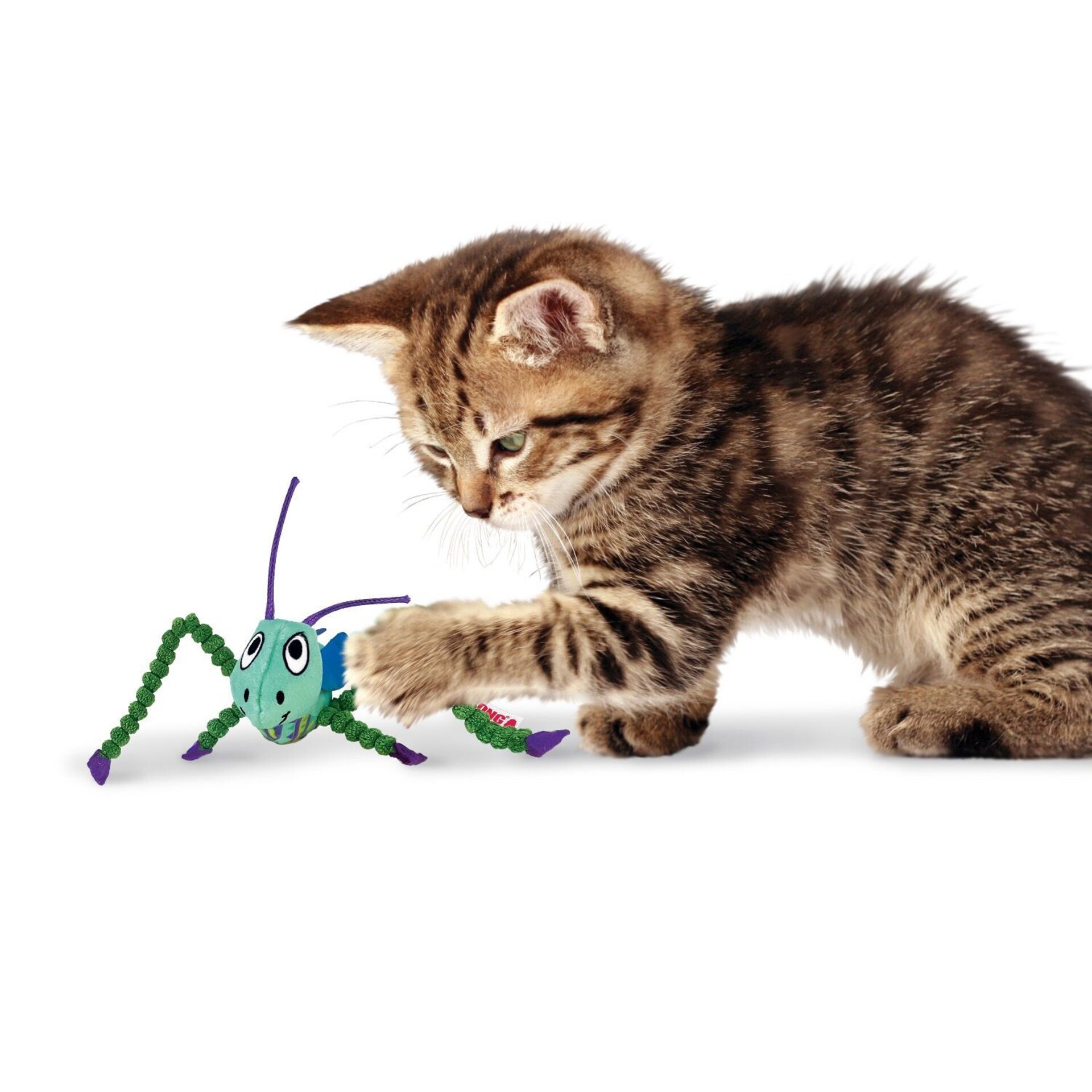 Peluche Kong Crackles Grasshopper - 3