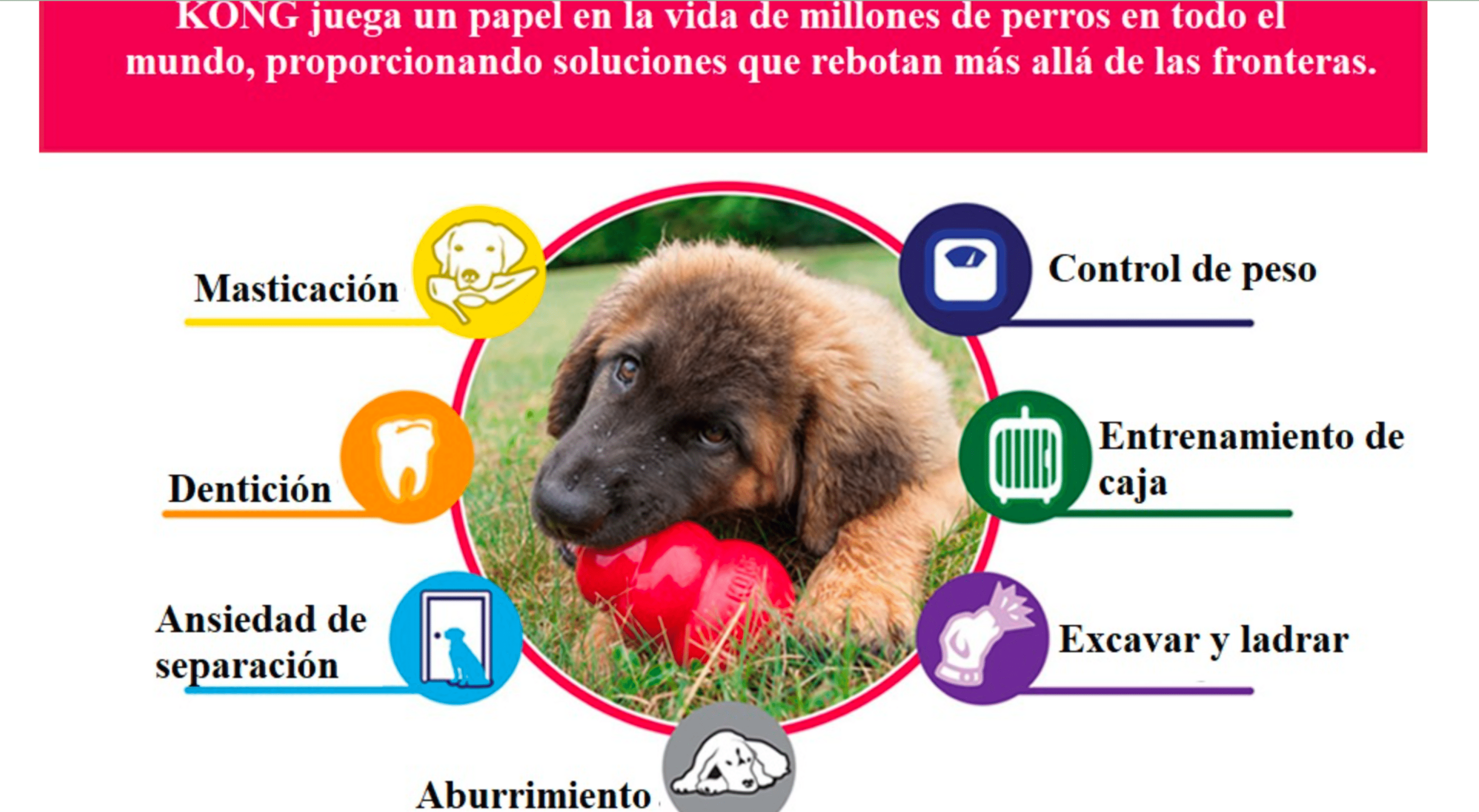 Kong Easy Treat Sabor A Queso - 4